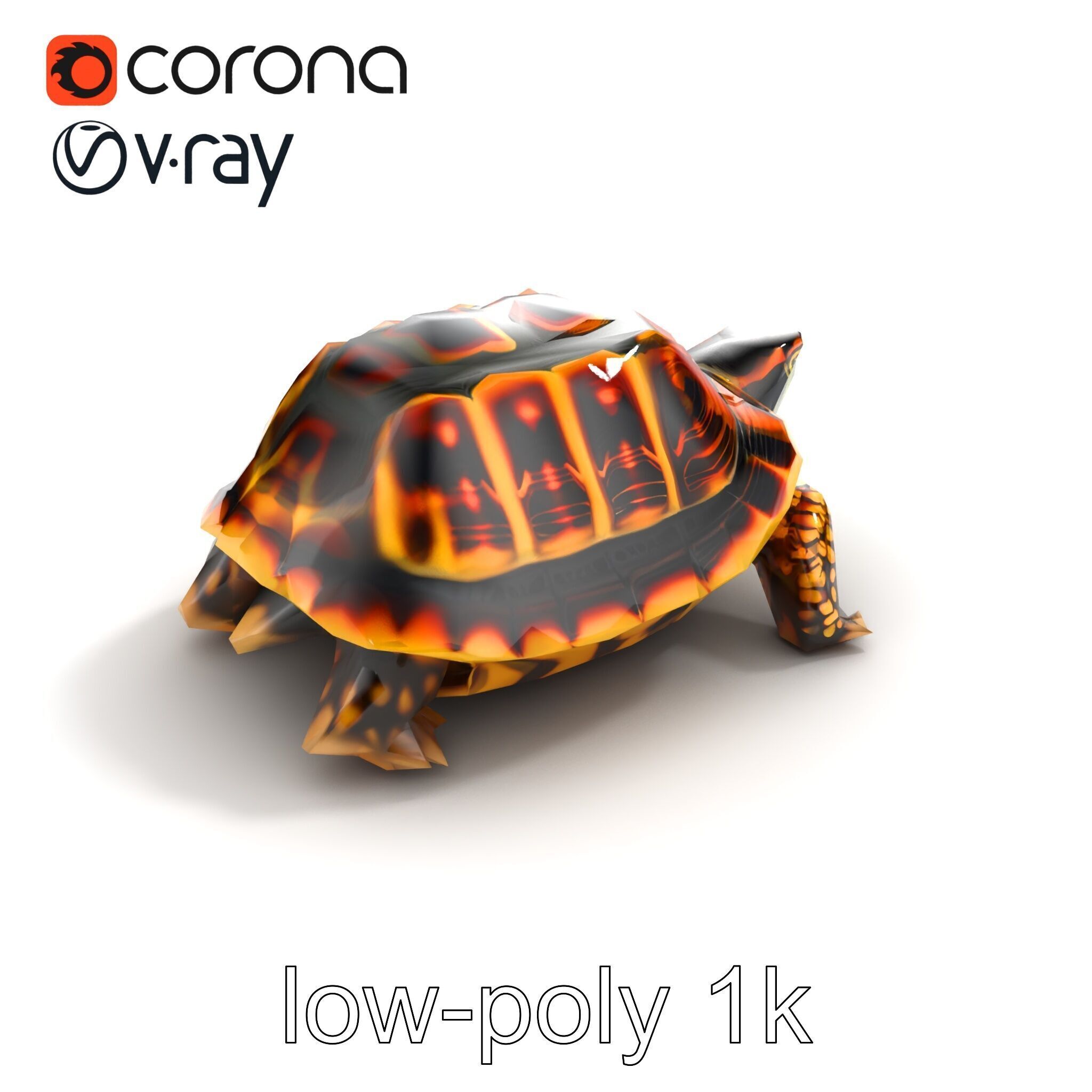 YellowMargined Box Turtle Realistic Detail Model Pack Low-poly 3D model_9