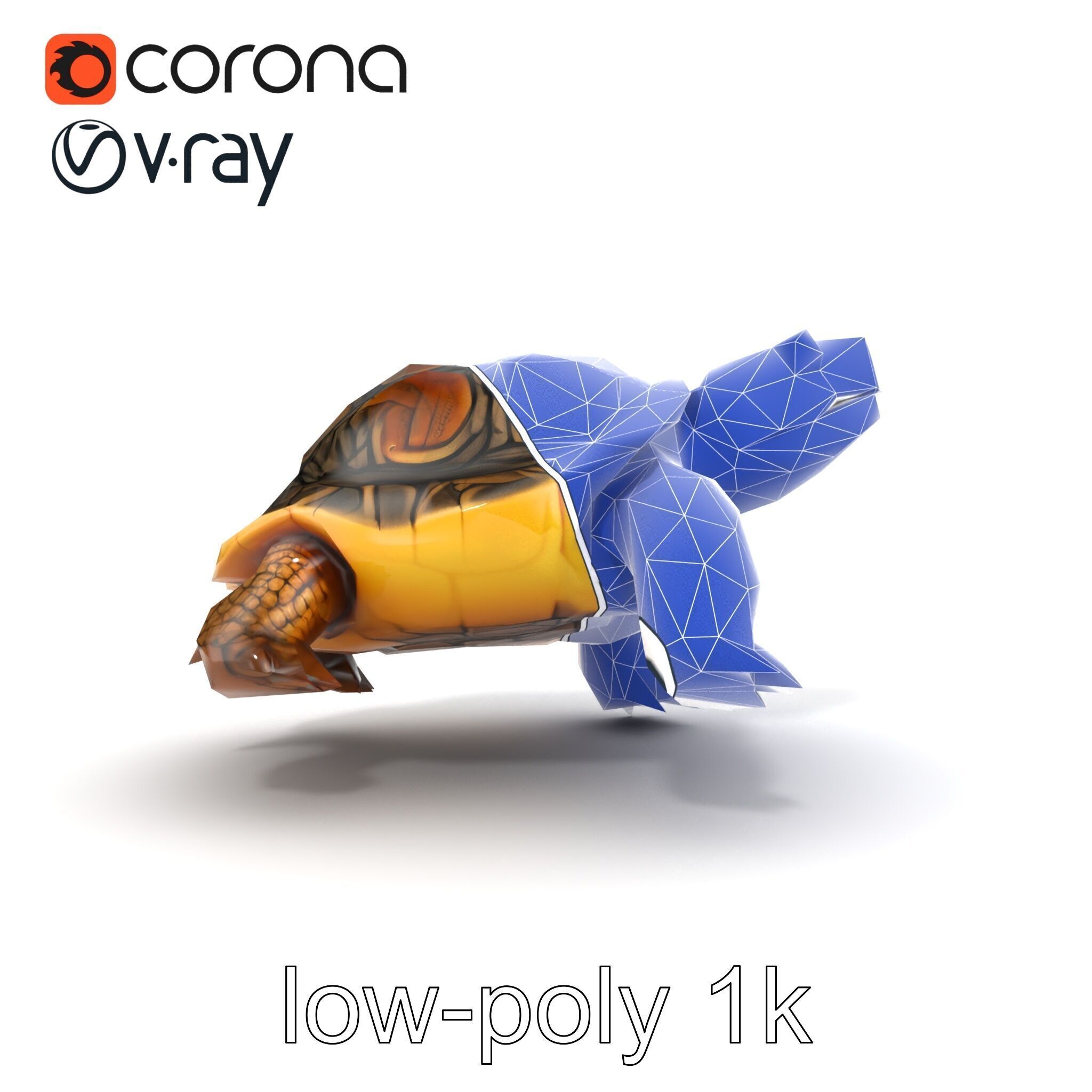 Snapping Turtle Strong Jaw Detailed Model Pack Low-poly 3D model_25