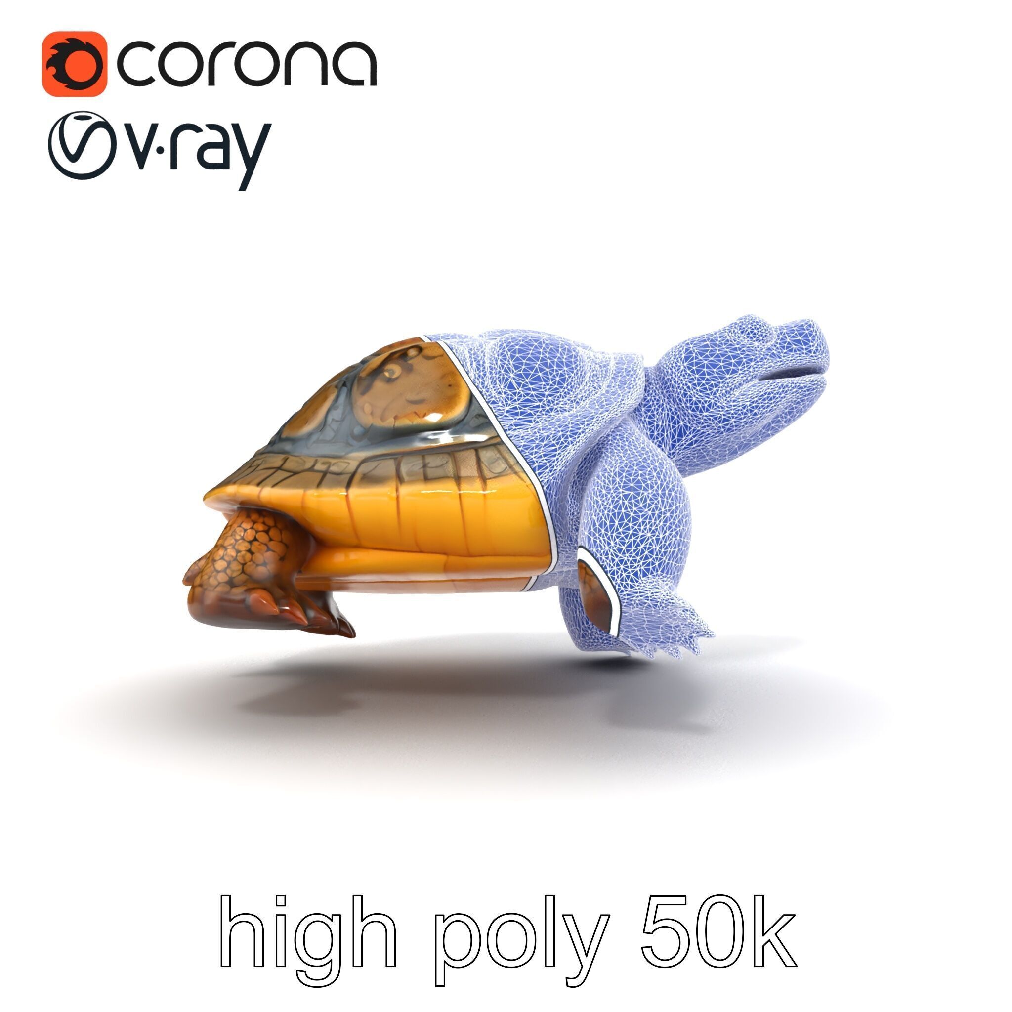 Snapping Turtle Strong Jaw Detailed Model Pack Low-poly 3D model_27