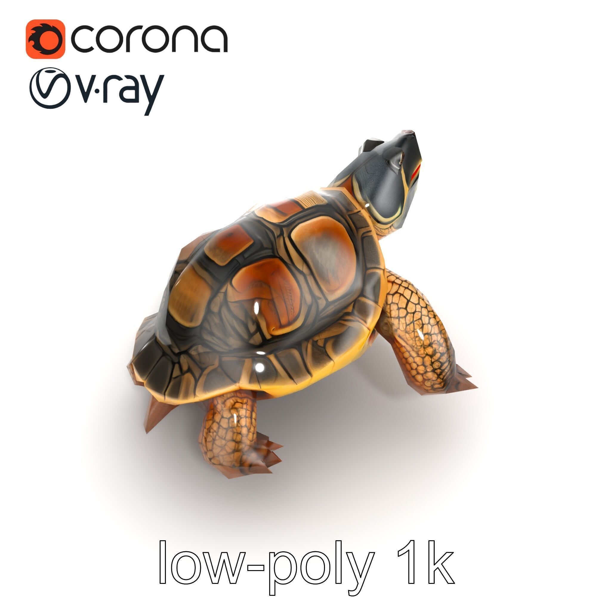 Snapping Turtle Strong Jaw Detailed Model Pack Low-poly 3D model_20
