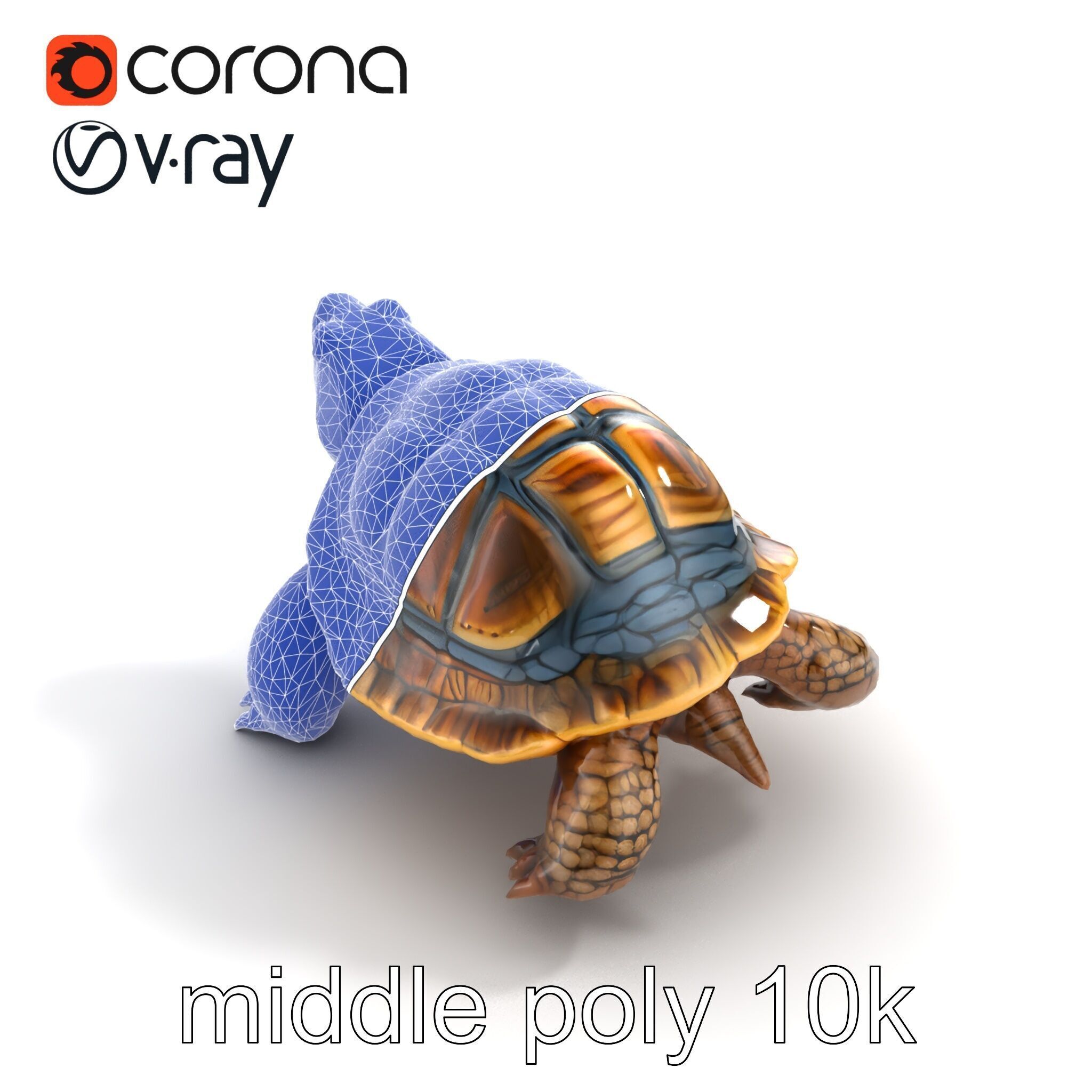 Snapping Turtle Strong Jaw Detailed Model Pack Low-poly 3D model_11