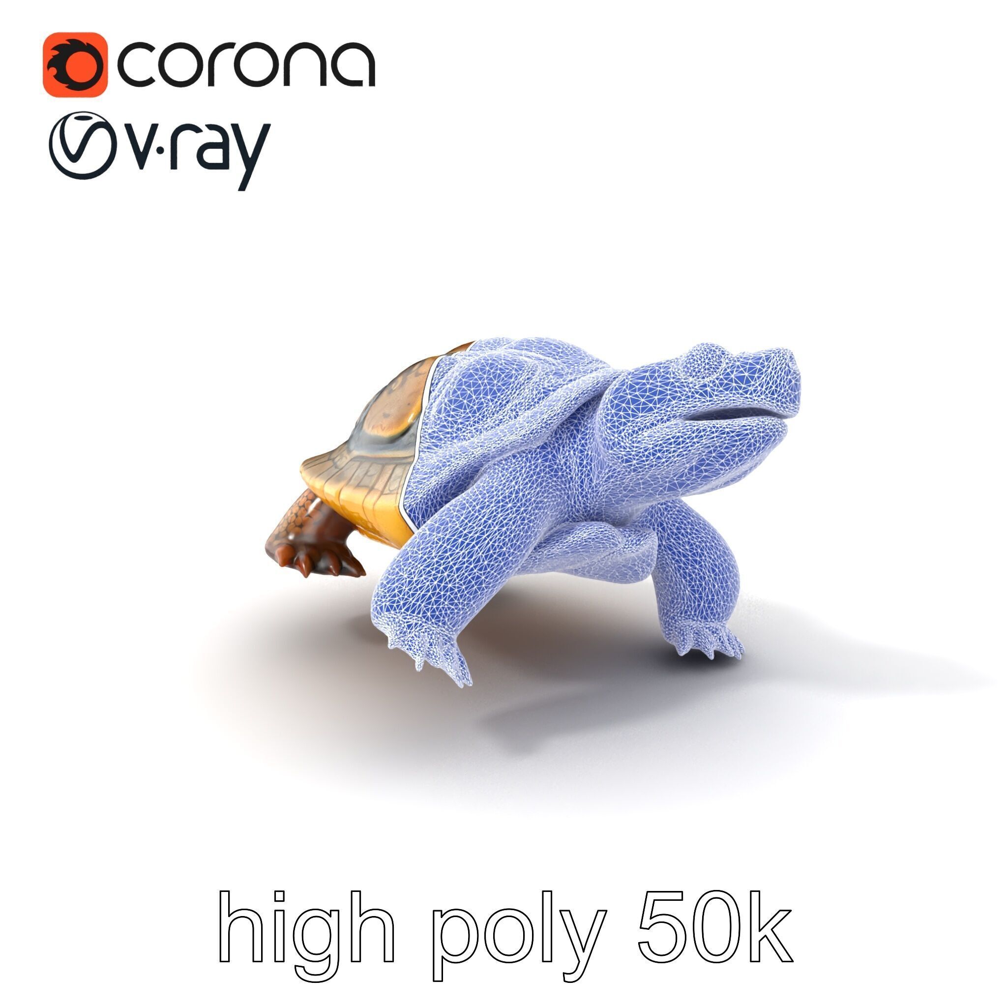 Snapping Turtle Strong Jaw Detailed Model Pack Low-poly 3D model_10