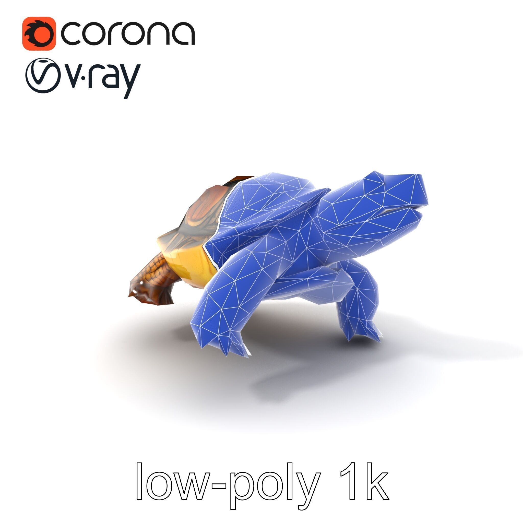 Snapping Turtle Strong Jaw Detailed Model Pack Low-poly 3D model_7