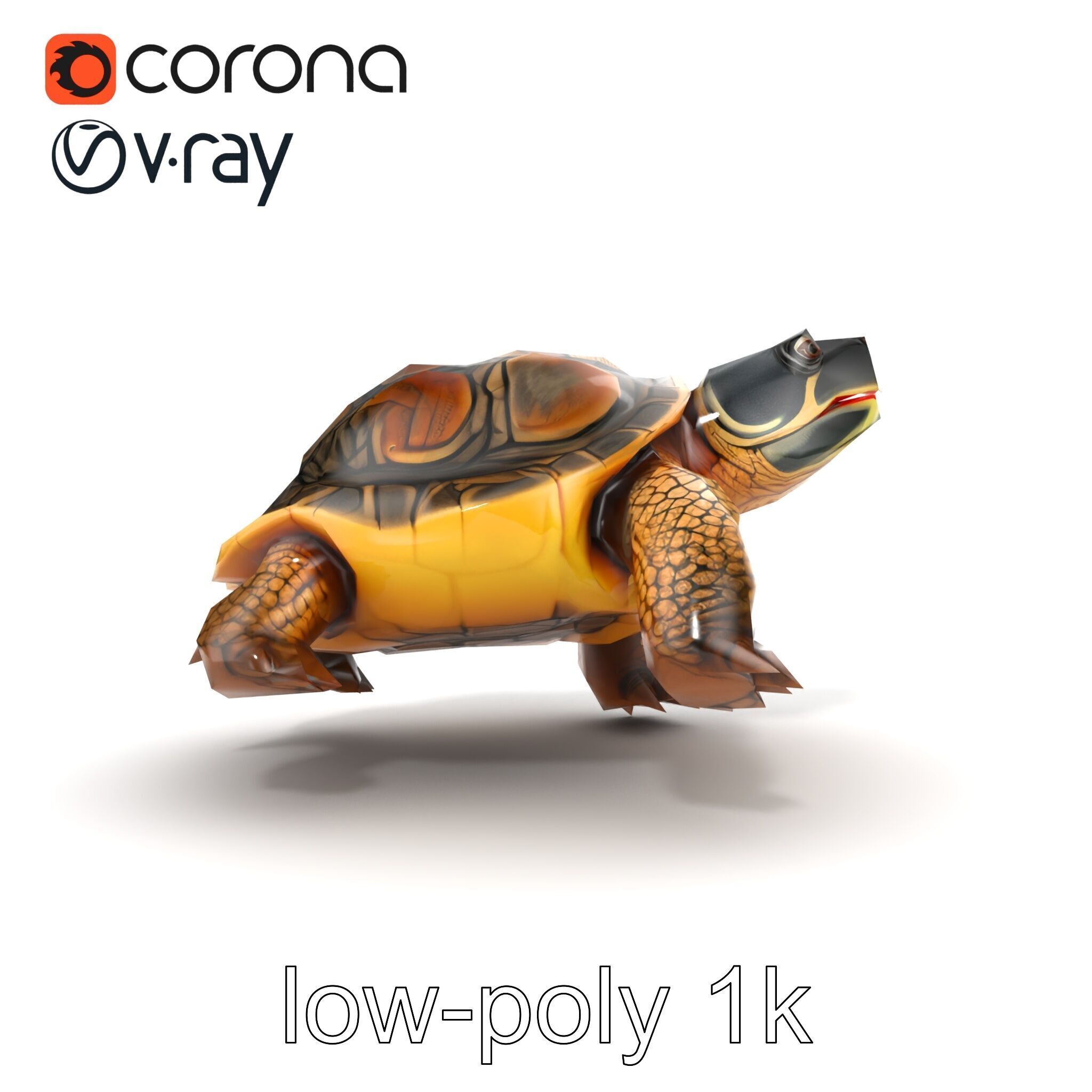 Snapping Turtle Strong Jaw Detailed Model Pack Low-poly 3D model_14