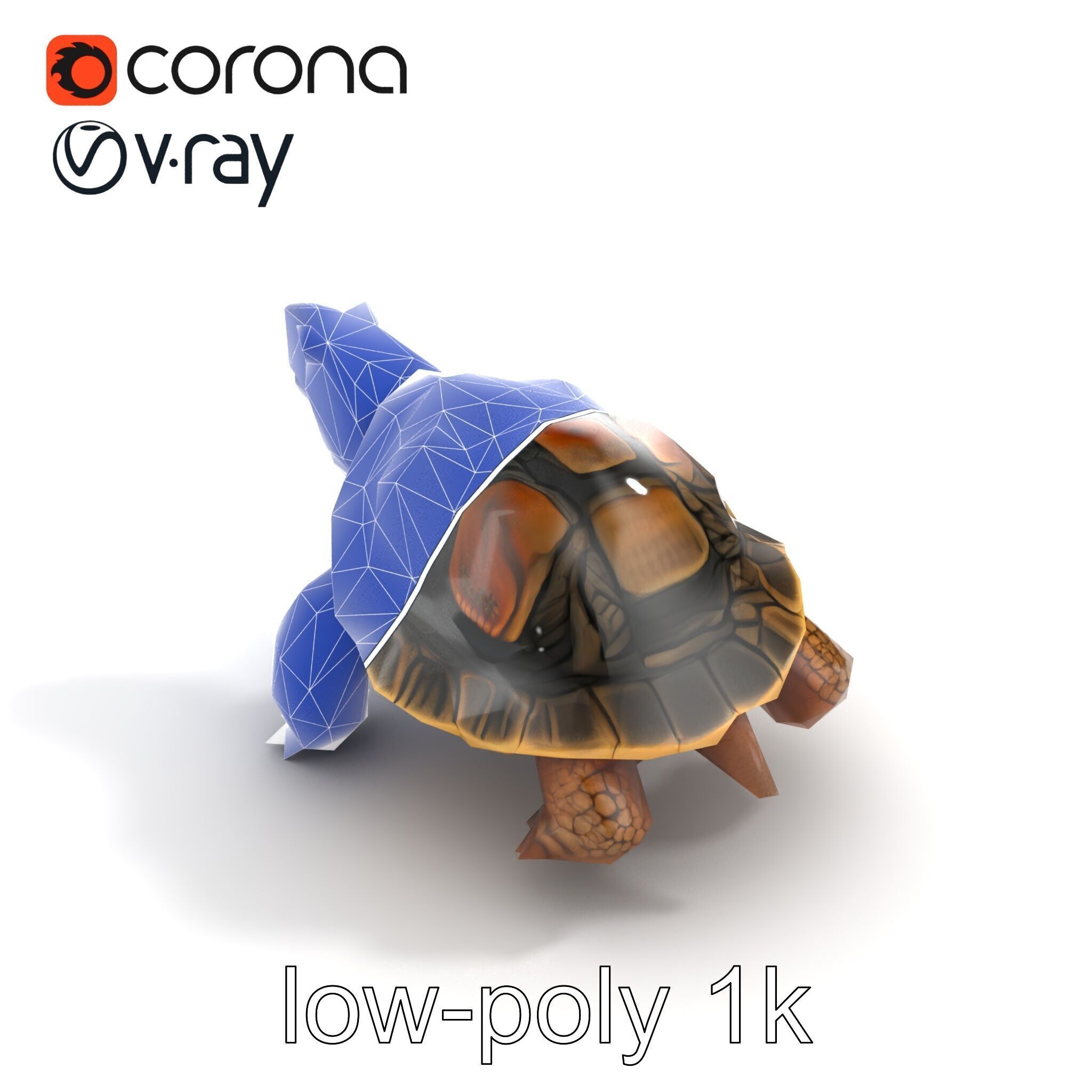 Snapping Turtle Strong Jaw Detailed Model Pack Low-poly 3D model_24
