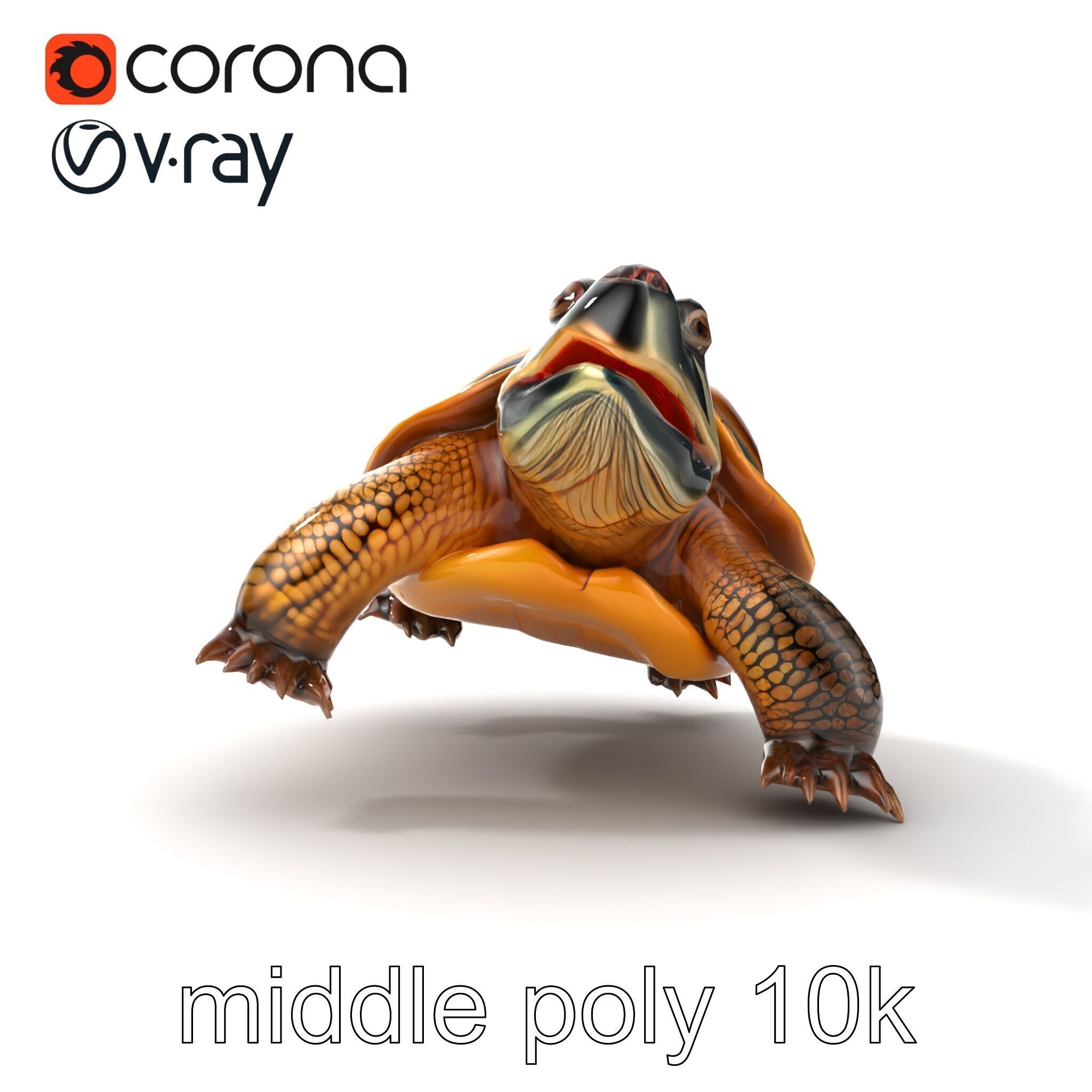 Snapping Turtle Strong Jaw Detailed Model Pack Low-poly 3D model_28