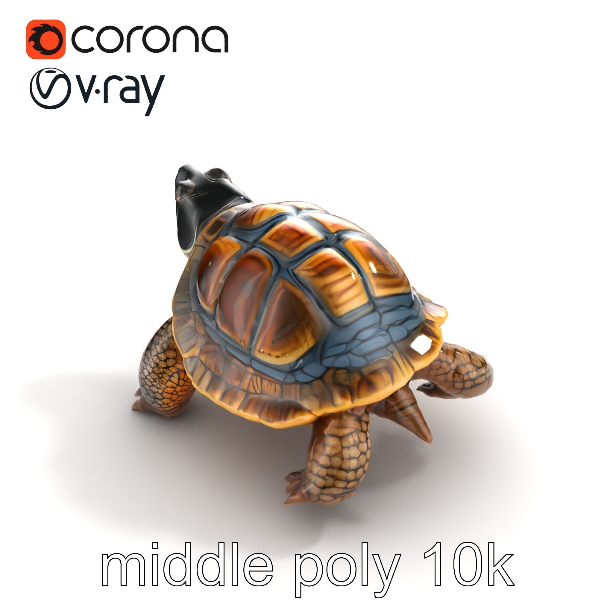 Snapping Turtle Strong Jaw Detailed Model Pack Low-poly 3D model_8