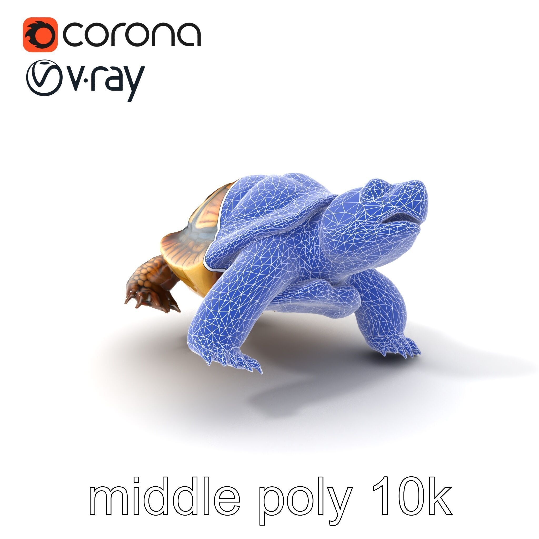 Snapping Turtle Strong Jaw Detailed Model Pack Low-poly 3D model_6