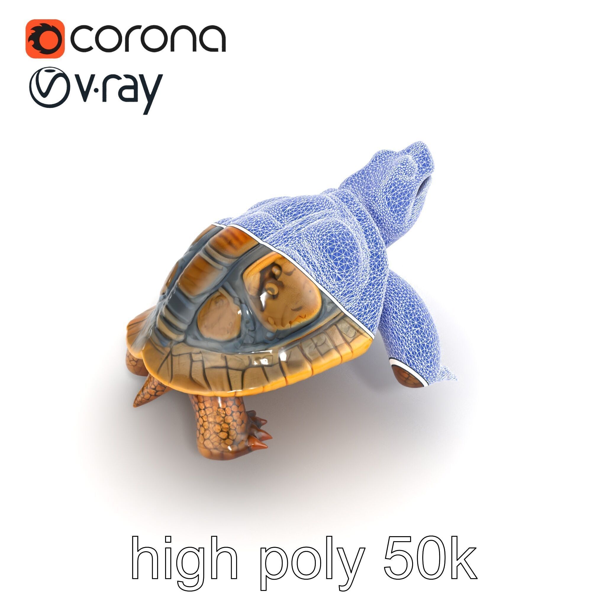 Snapping Turtle Strong Jaw Detailed Model Pack Low-poly 3D model_29