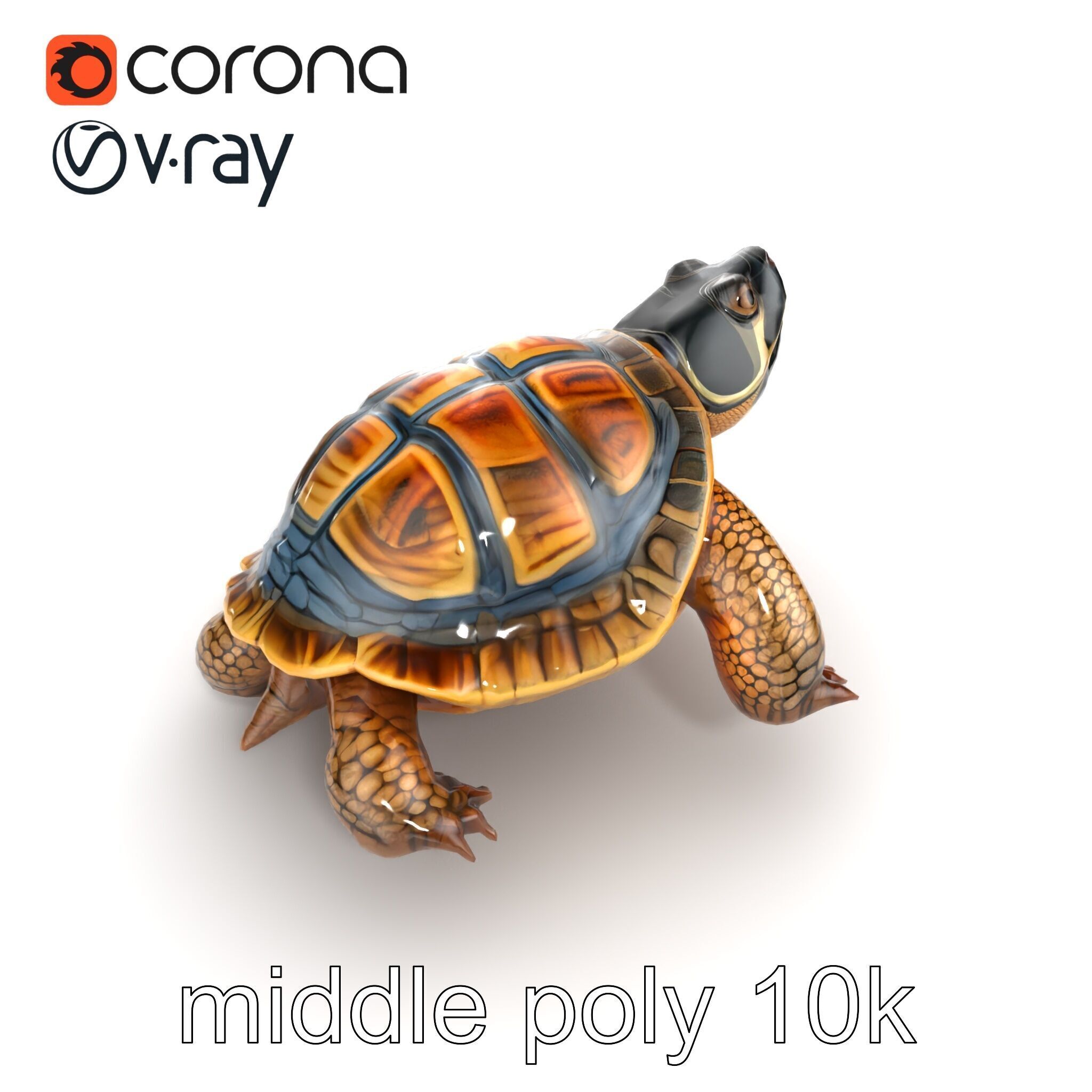 Snapping Turtle Strong Jaw Detailed Model Pack Low-poly 3D model_12