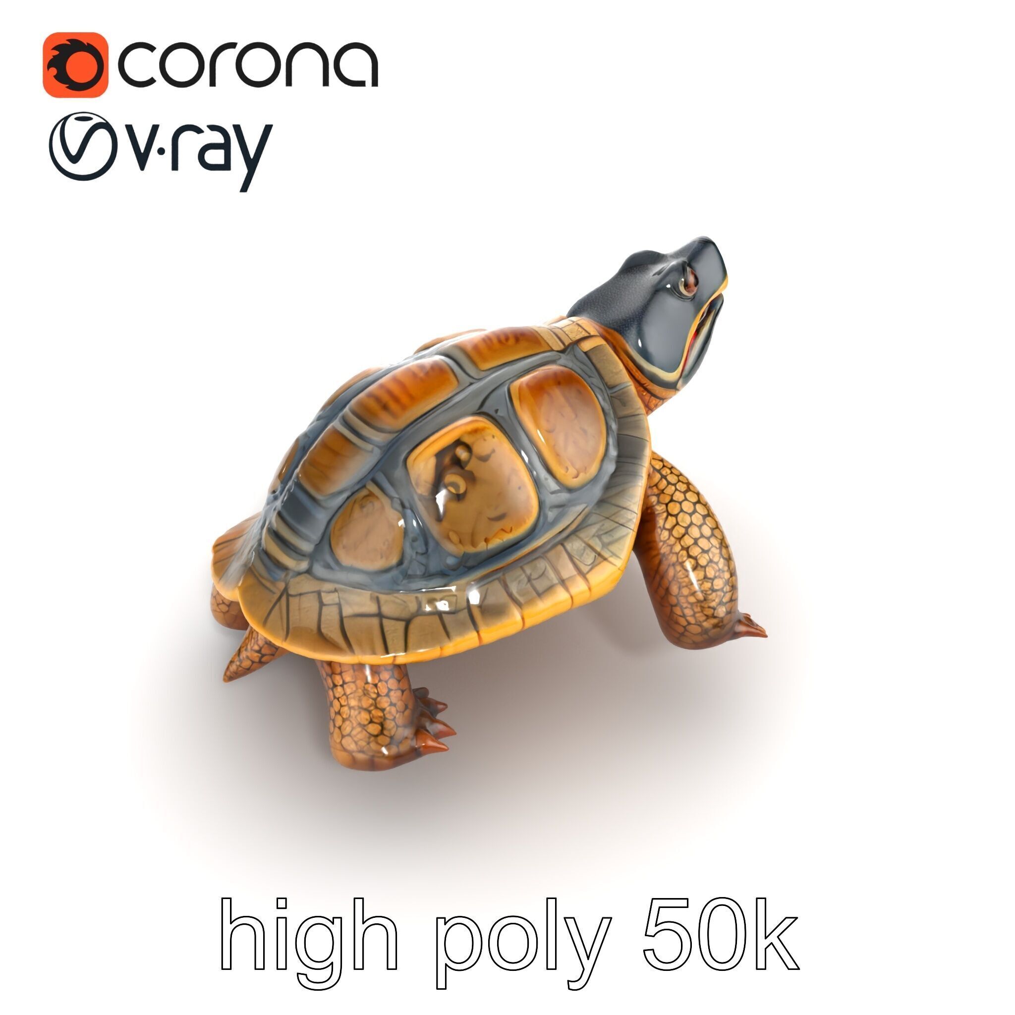 Snapping Turtle Strong Jaw Detailed Model Pack Low-poly 3D model_30