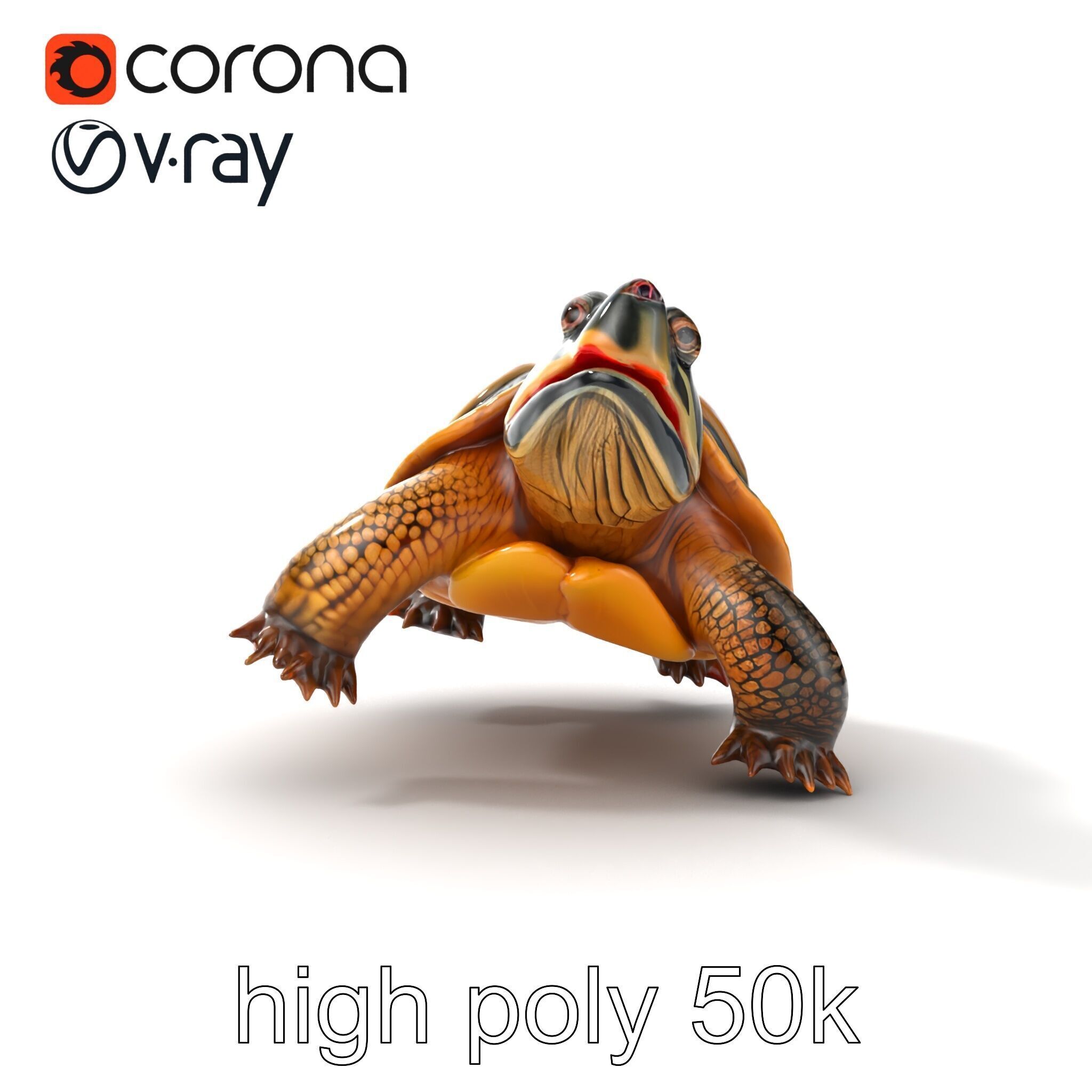 Snapping Turtle Strong Jaw Detailed Model Pack Low-poly 3D model_31