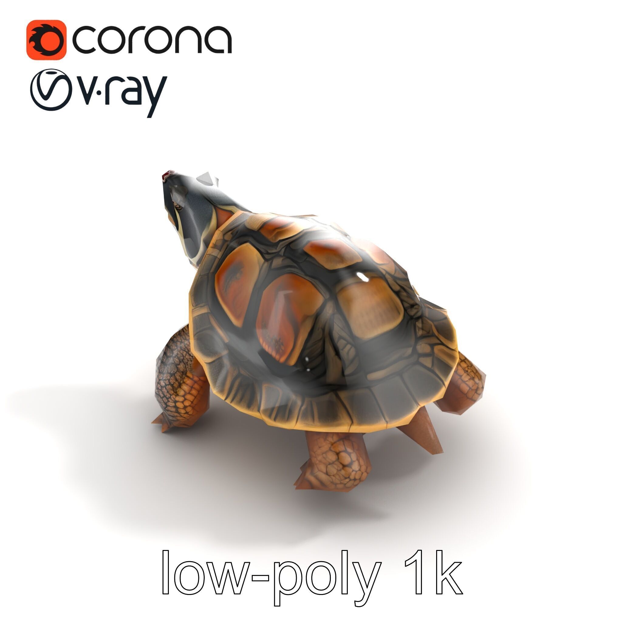Snapping Turtle Strong Jaw Detailed Model Pack Low-poly 3D model_9