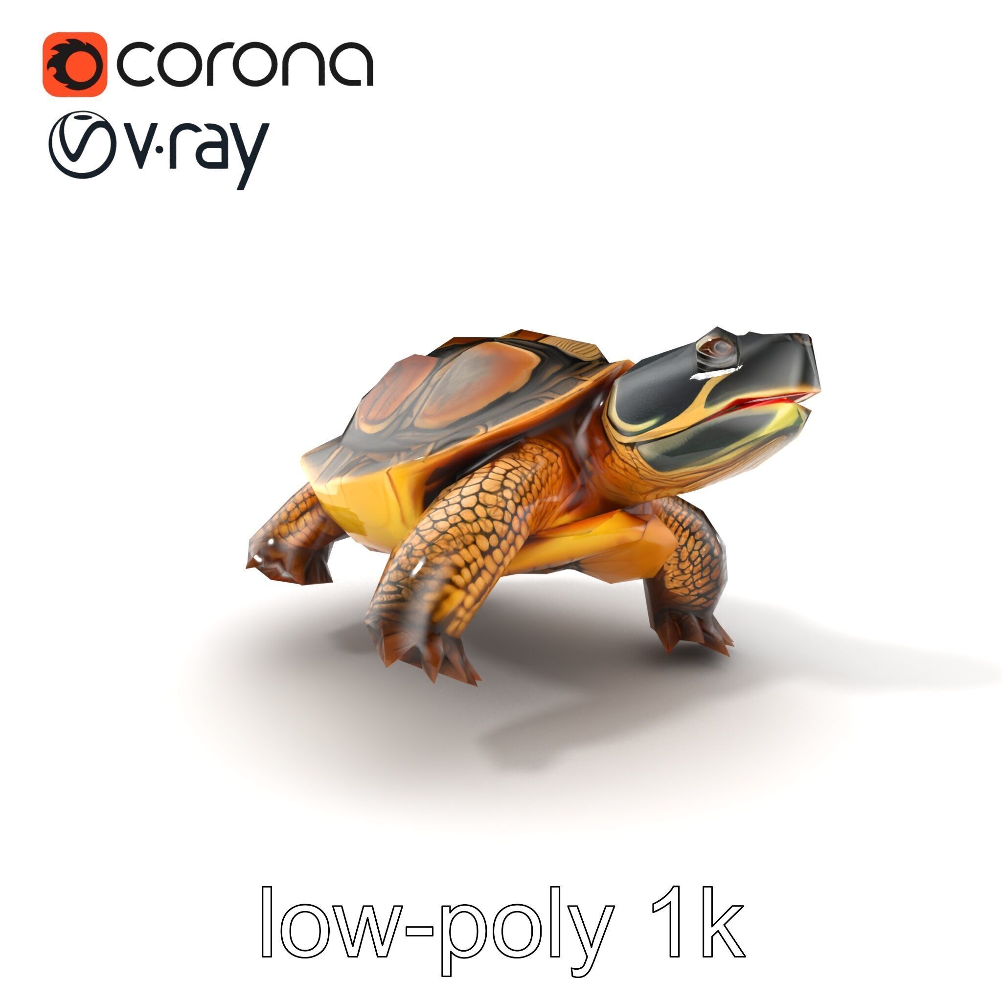 Snapping Turtle Strong Jaw Detailed Model Pack Low-poly 3D model_5