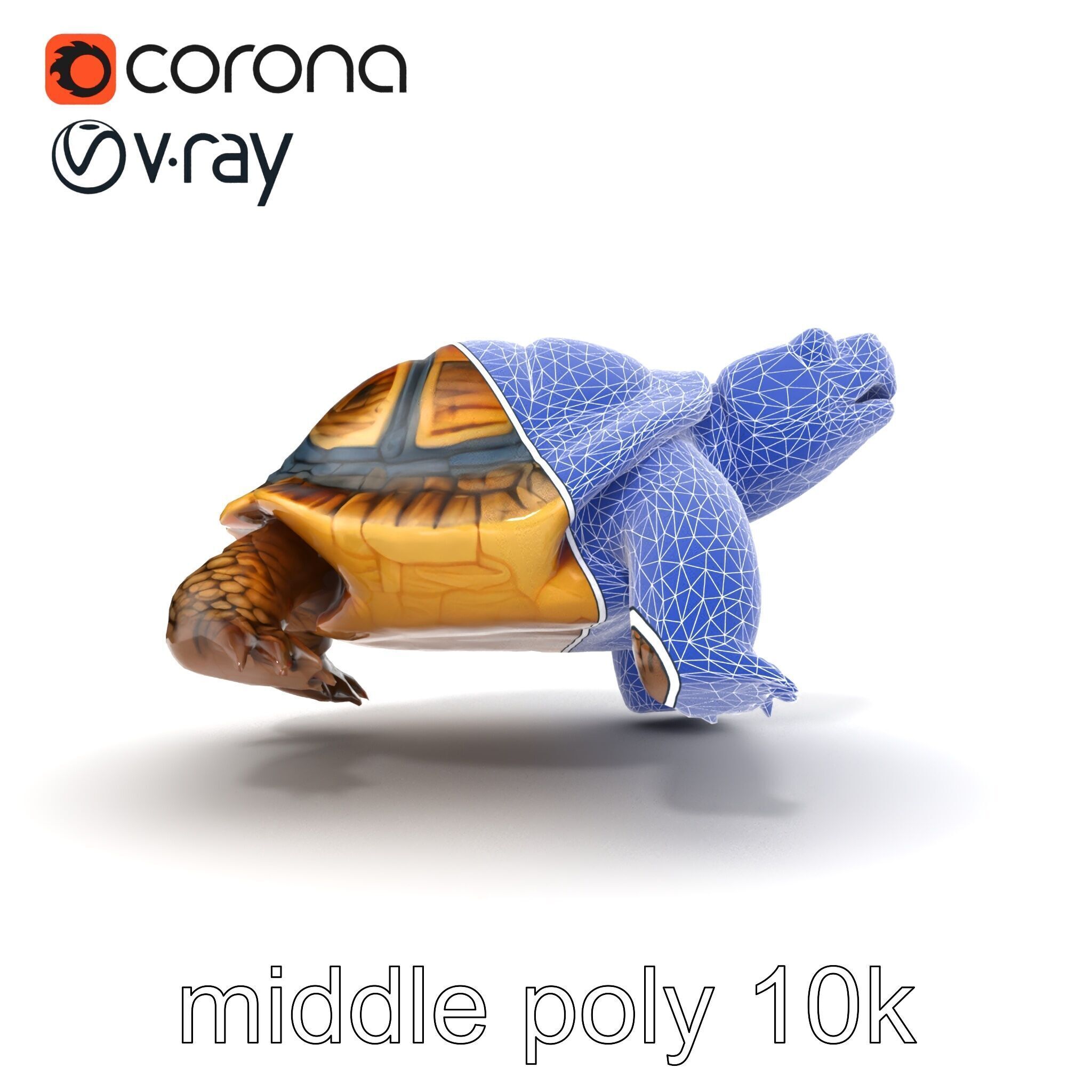 Snapping Turtle Strong Jaw Detailed Model Pack Low-poly 3D model_18