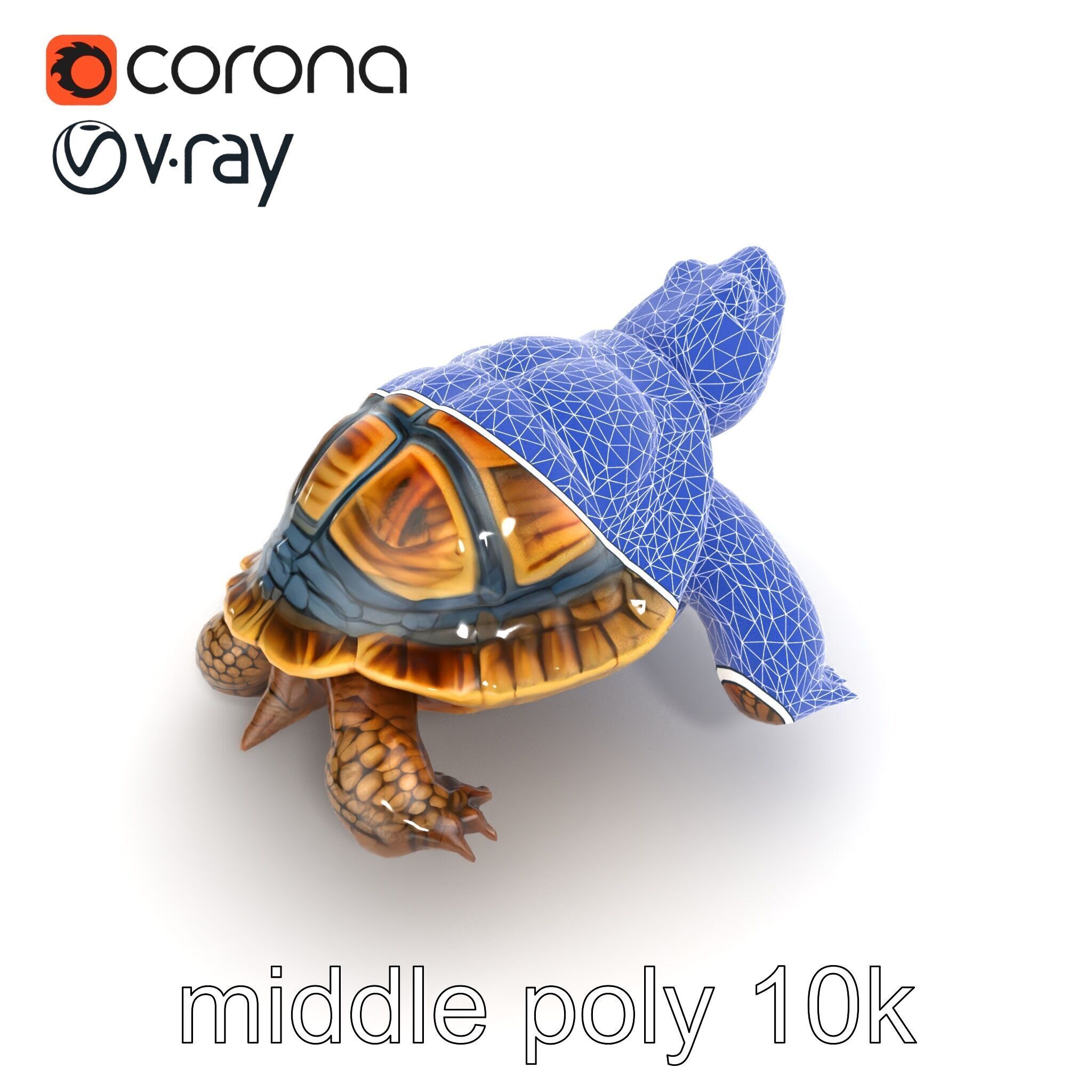 Snapping Turtle Strong Jaw Detailed Model Pack Low-poly 3D model_13