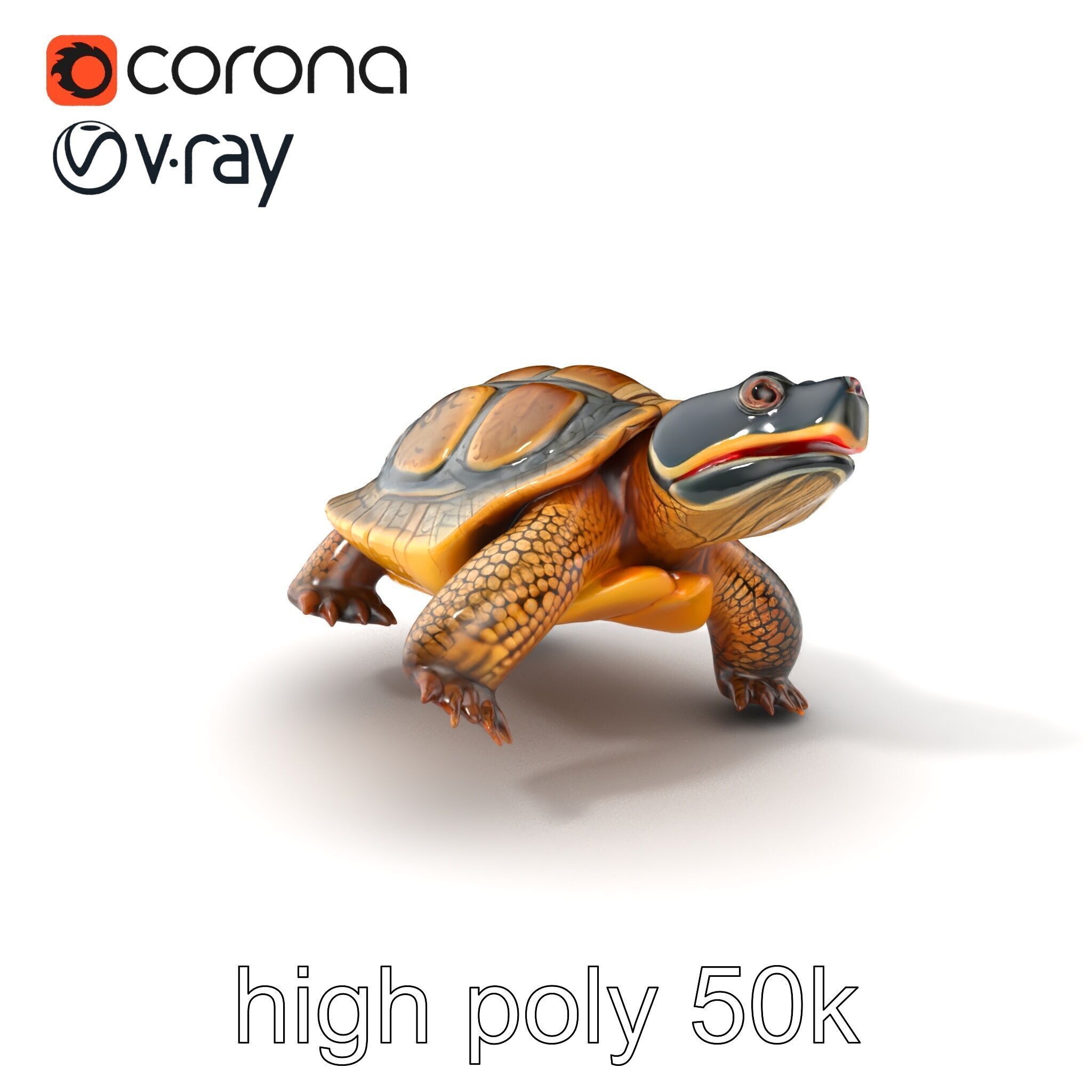 Snapping Turtle Strong Jaw Detailed Model Pack Low-poly 3D model_2