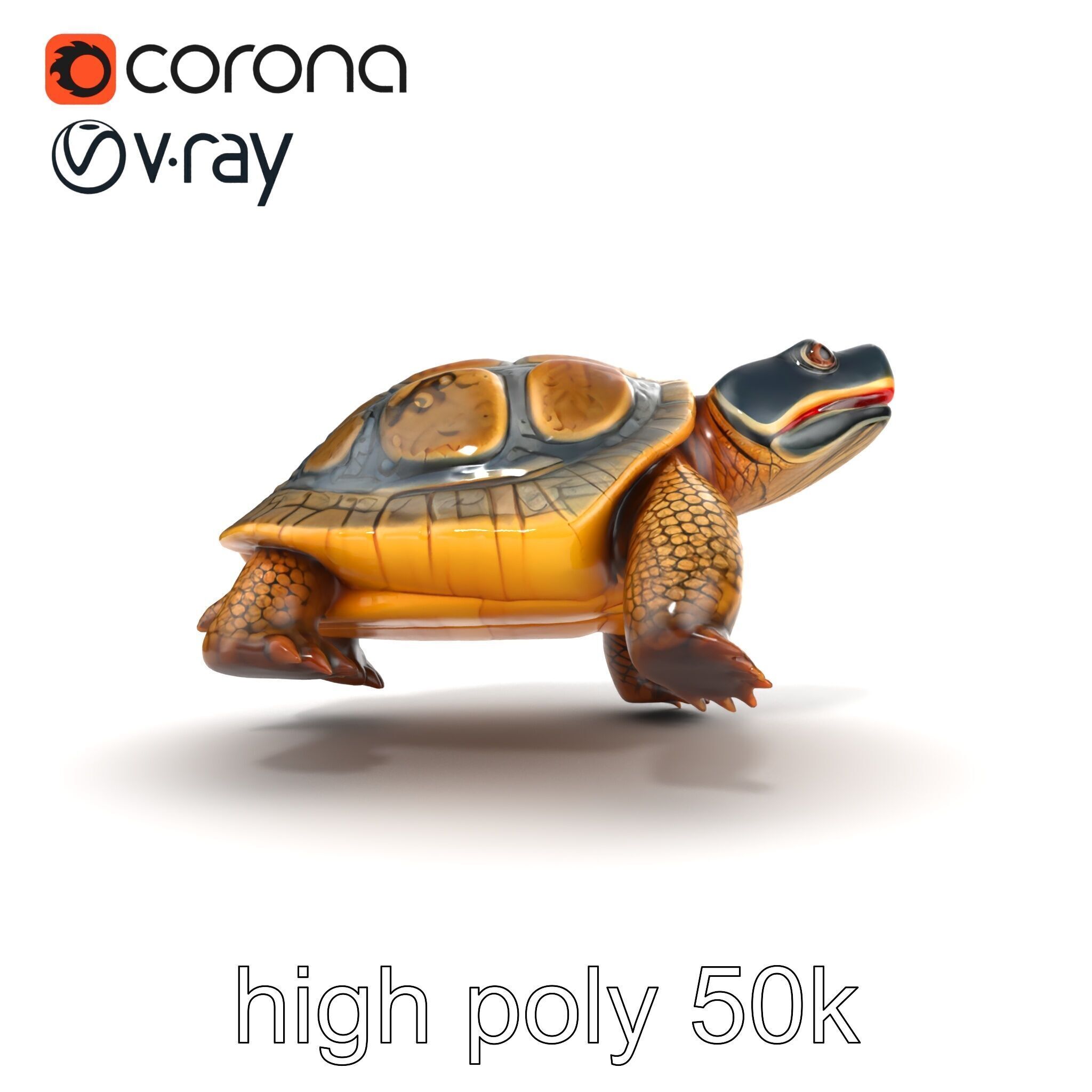 Snapping Turtle Strong Jaw Detailed Model Pack Low-poly 3D model_22