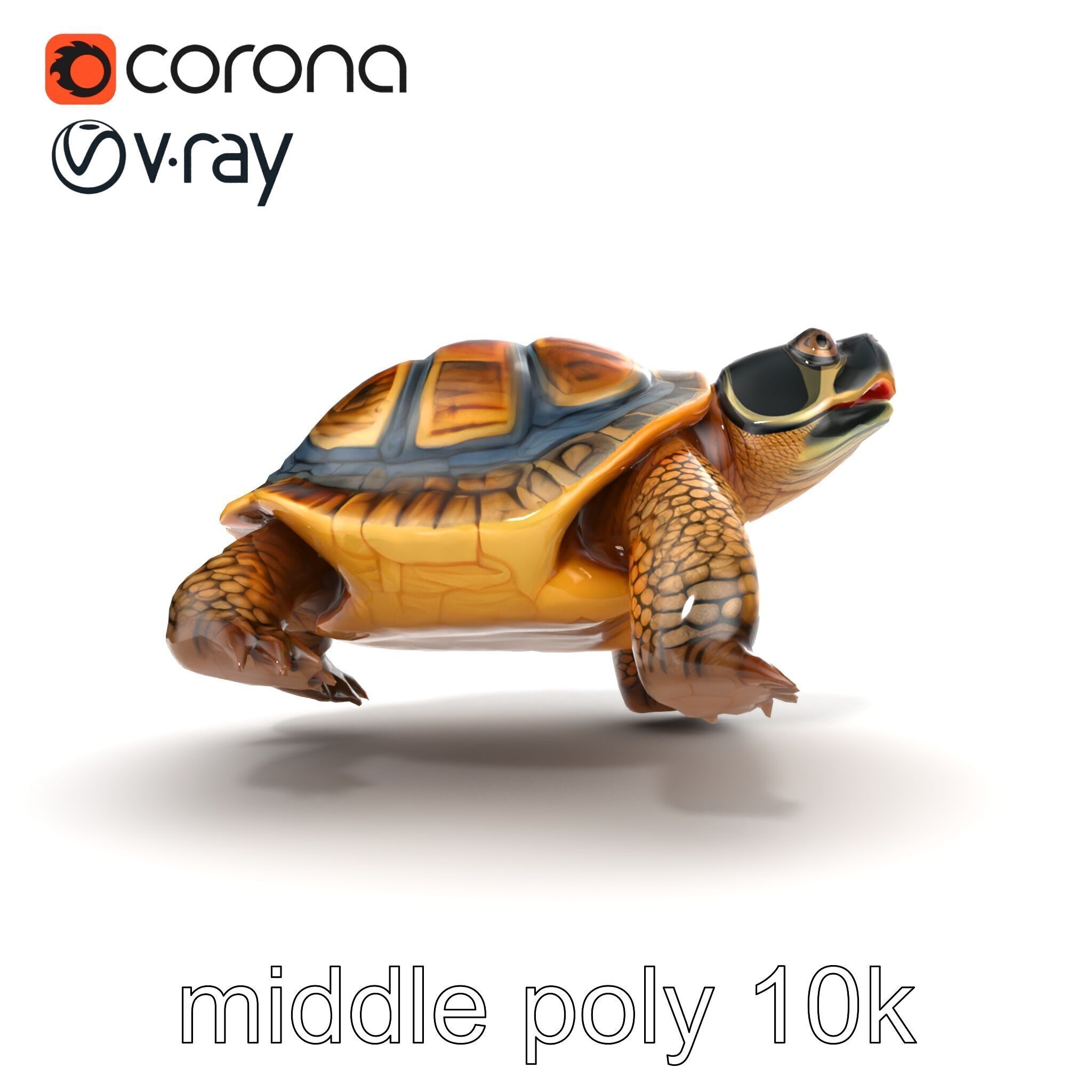 Snapping Turtle Strong Jaw Detailed Model Pack Low-poly 3D model_26
