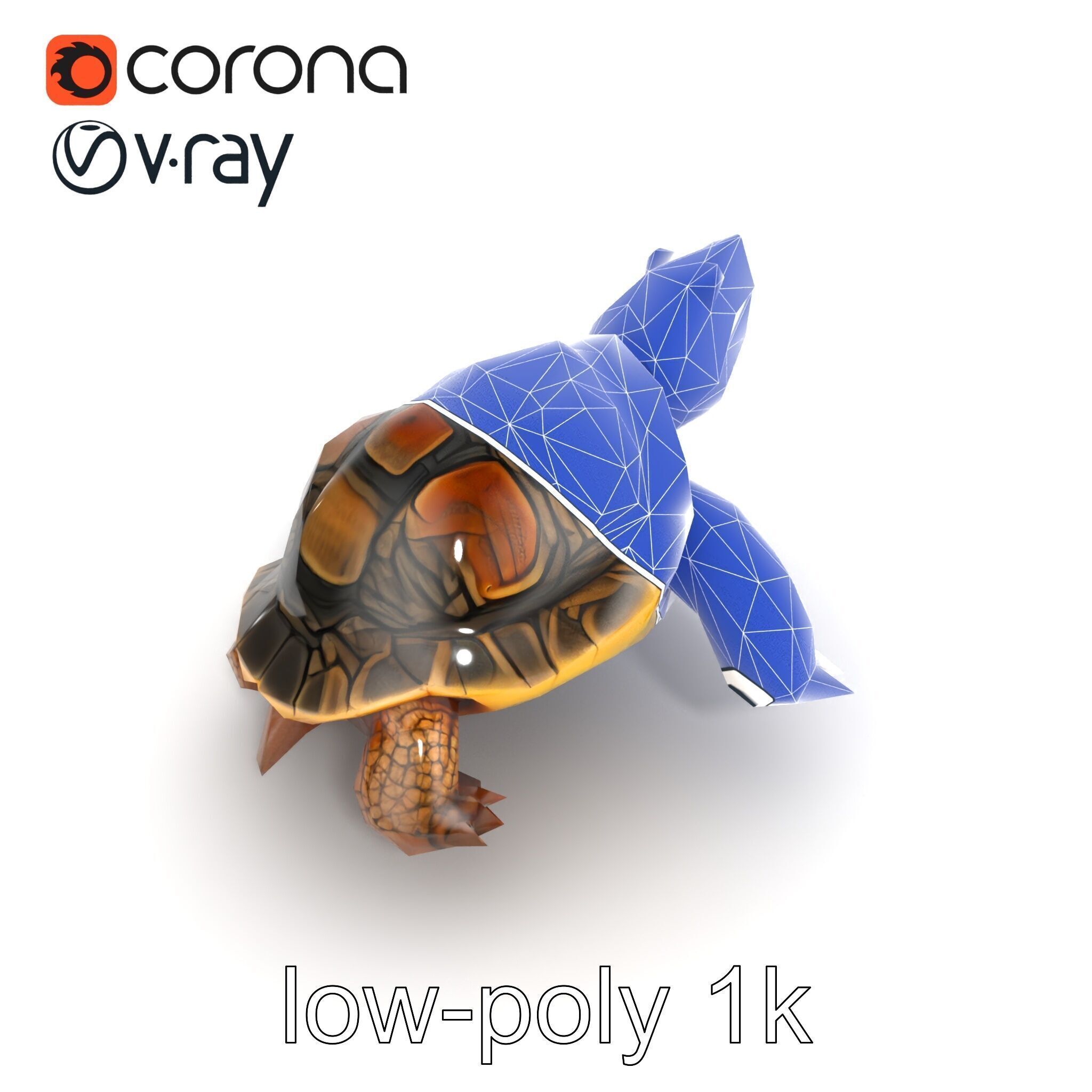 Snapping Turtle Strong Jaw Detailed Model Pack Low-poly 3D model_15