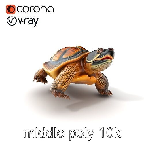 Snapping Turtle Strong Jaw Detailed Model Pack Low-poly 3D model