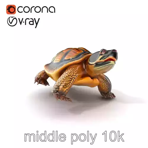 Snapping Turtle Strong Jaw Detailed Model Pack Low-poly 3D model