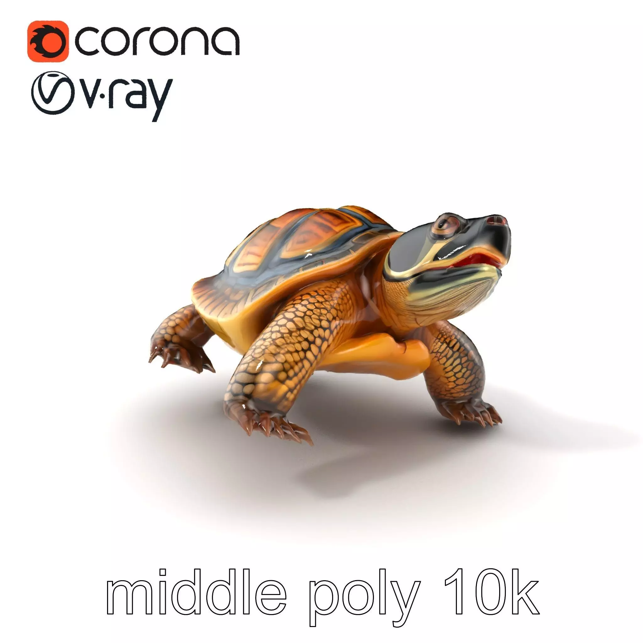 Snapping Turtle Strong Jaw Detailed Model Pack Low-poly 3D model_0