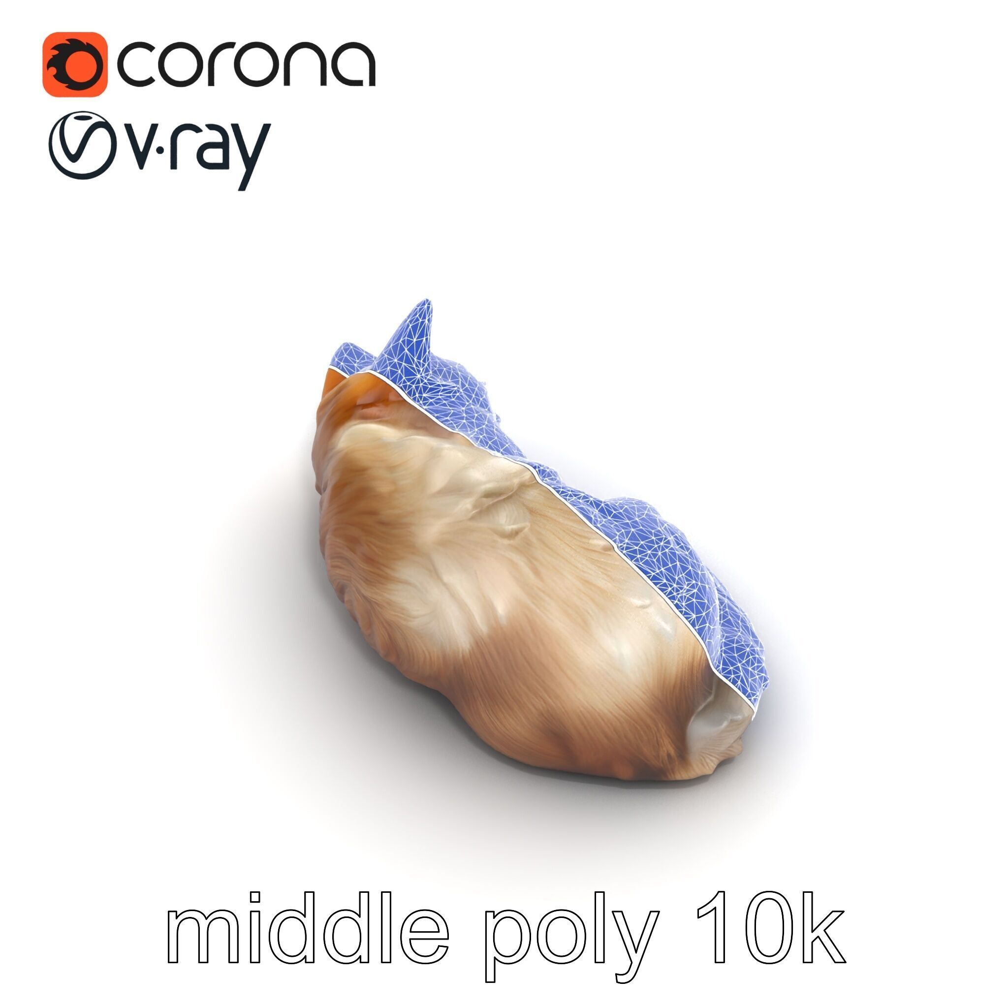 Sleeping Fluffy Cat Relaxation model pack Low-poly 3D model_47