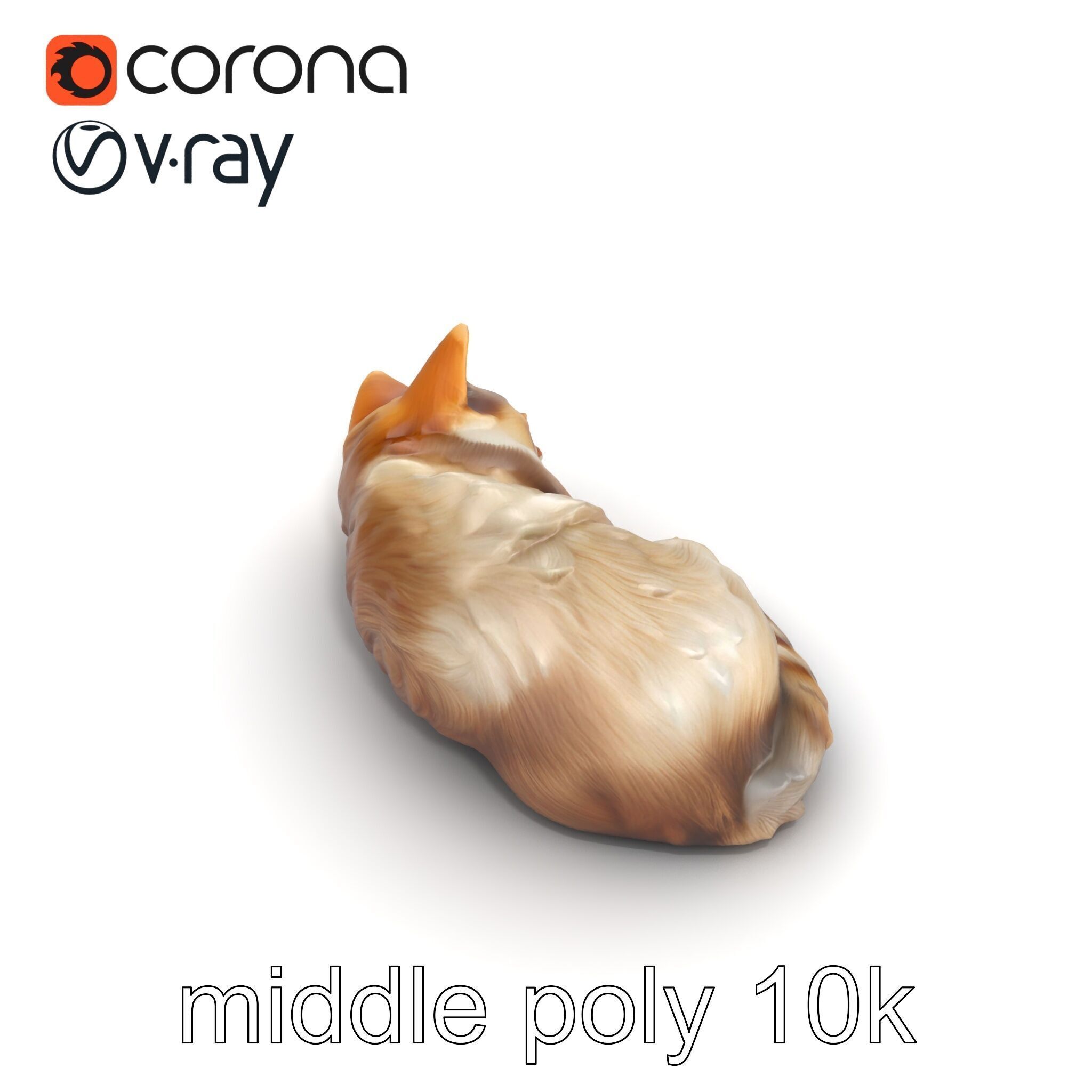 Sleeping Fluffy Cat Relaxation model pack Low-poly 3D model_40