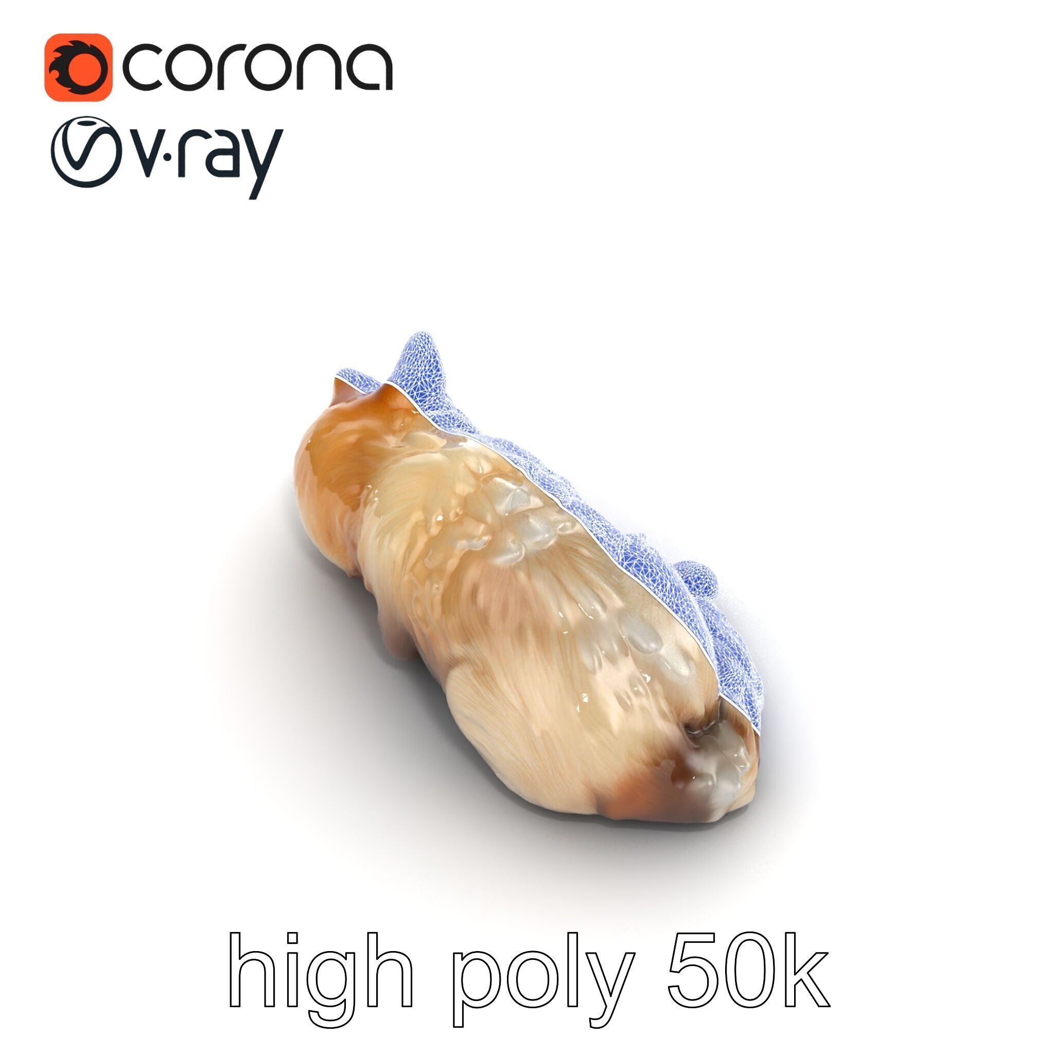 Sleeping Fluffy Cat Relaxation model pack Low-poly 3D model_44