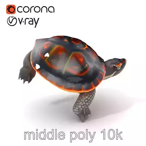 European Pond Turtle Realistic D Model Pack Low-poly 3D model