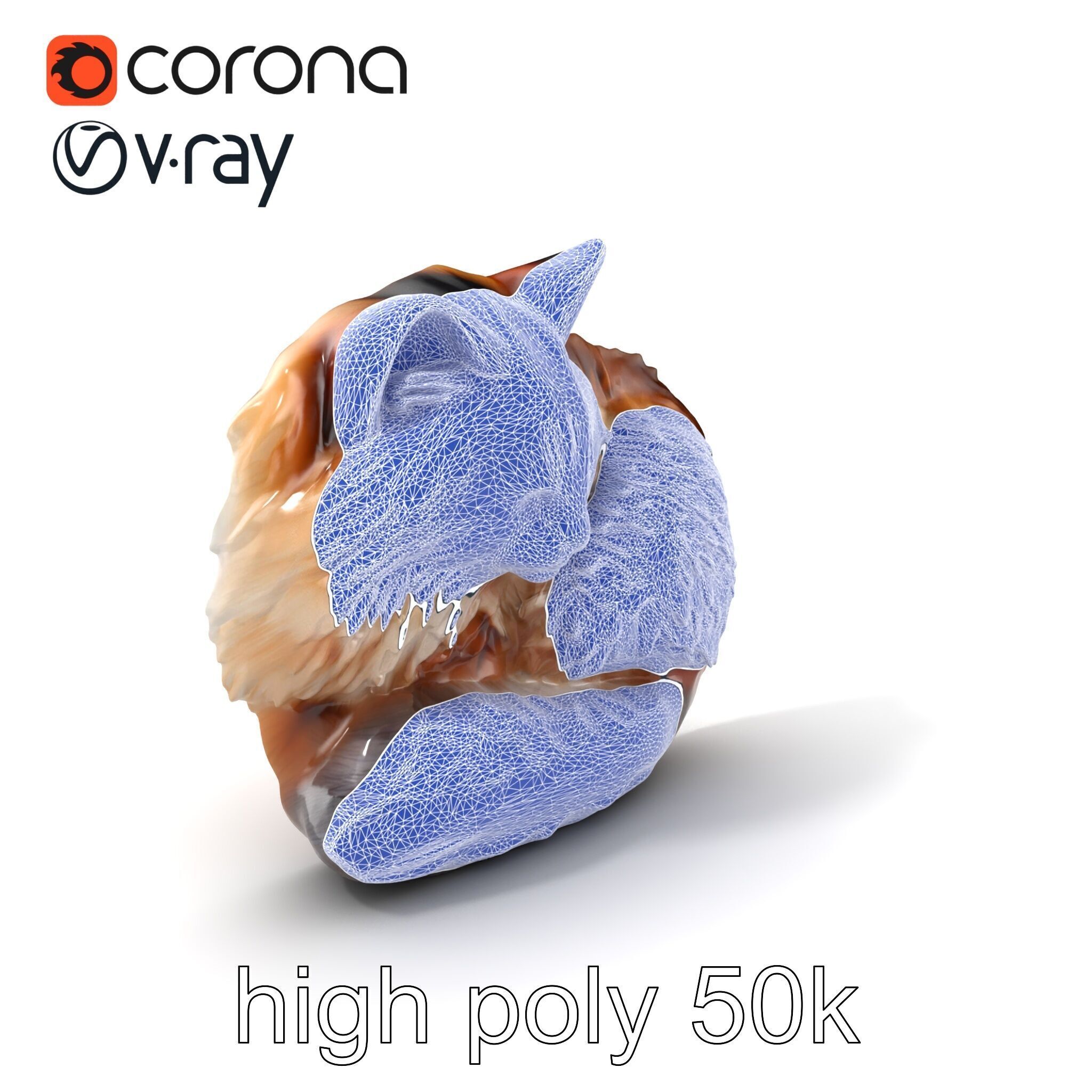 Fluffy Cat D Model Pack with Realistic Fur Detail Low-poly 3D model_10