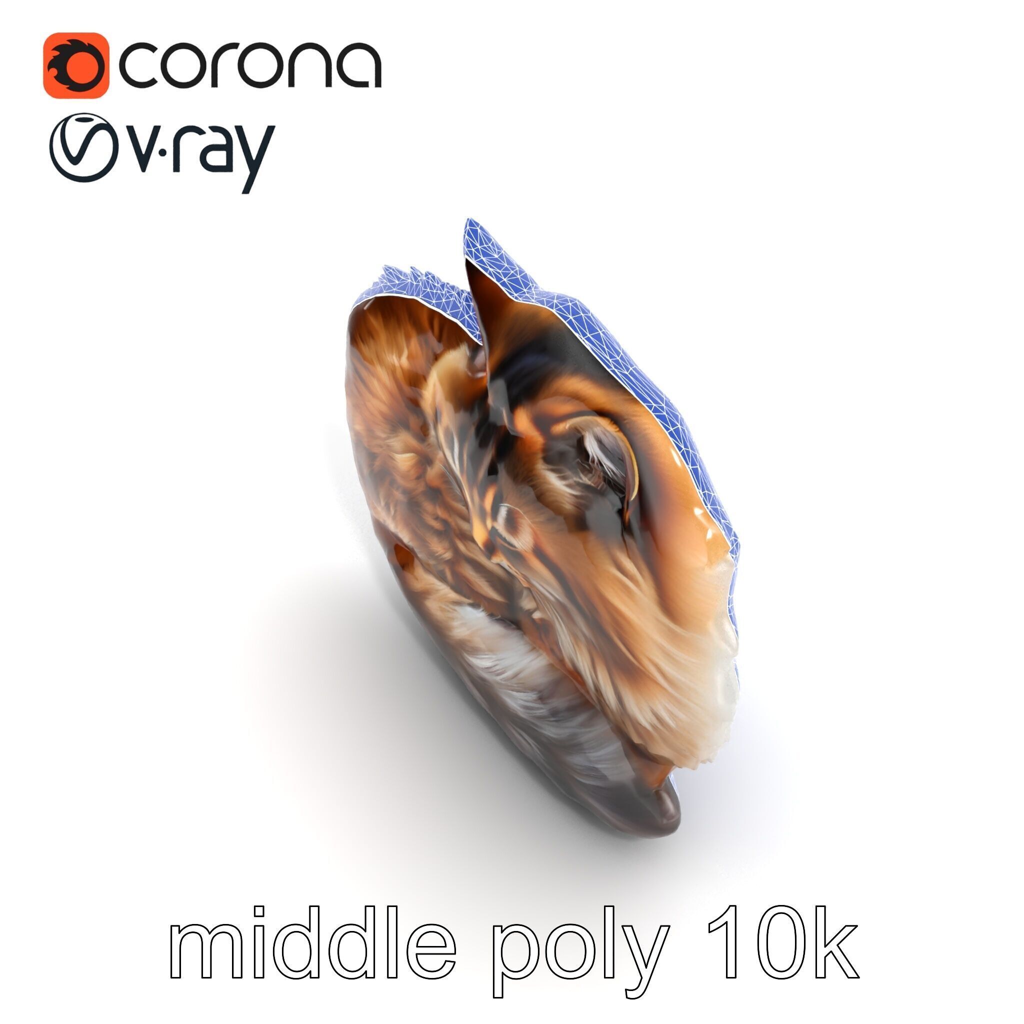 Fluffy Cat D Model Pack with Realistic Fur Detail Low-poly 3D model_25