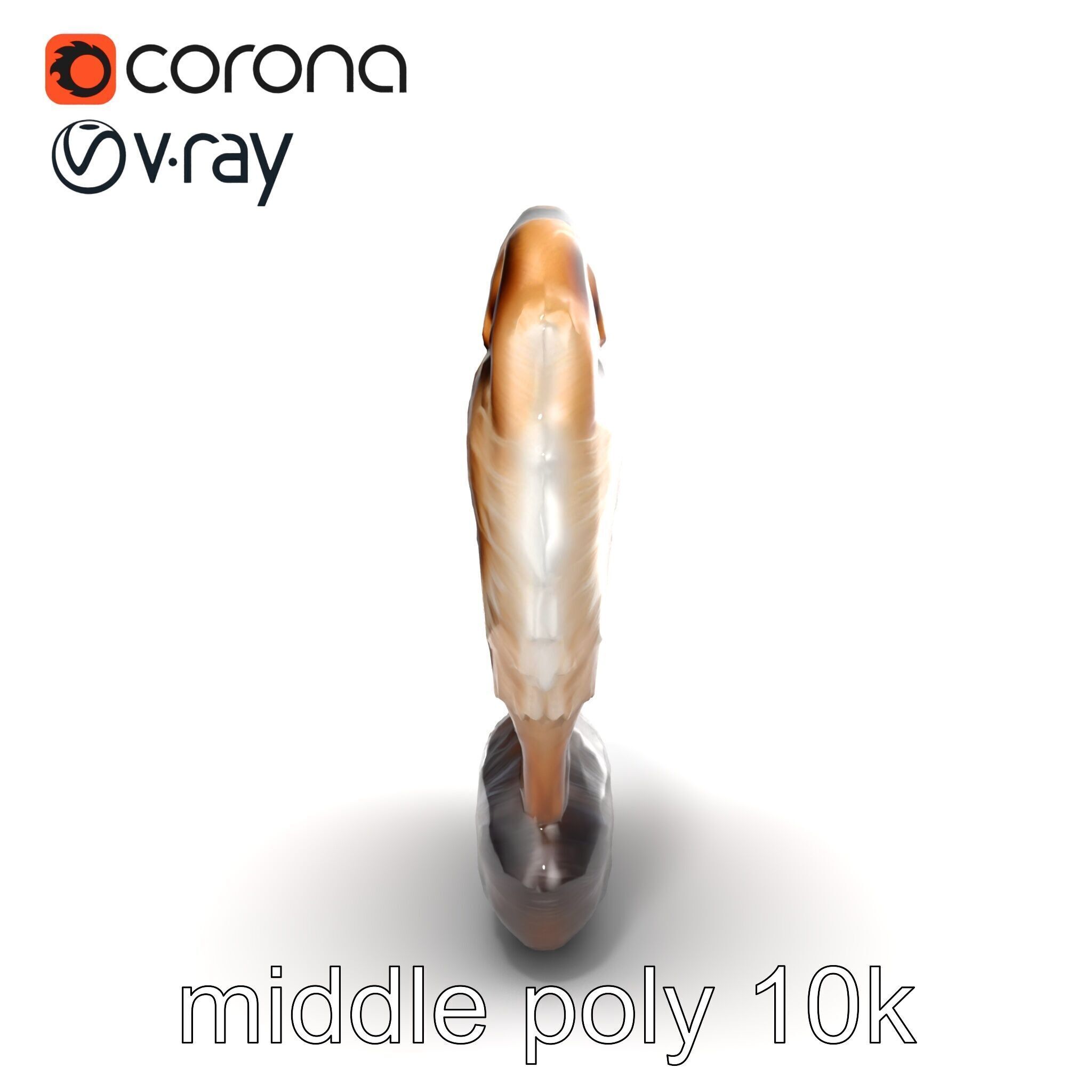 Fluffy Cat D Model Pack with Realistic Fur Detail Low-poly 3D model_28