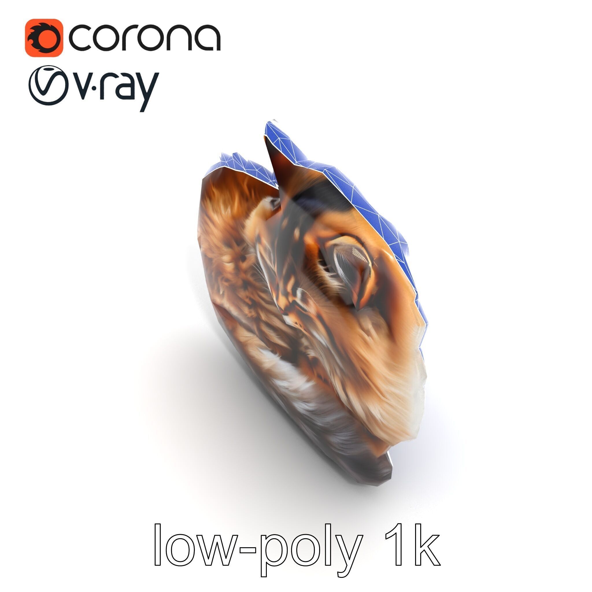 Fluffy Cat D Model Pack with Realistic Fur Detail Low-poly 3D model_11