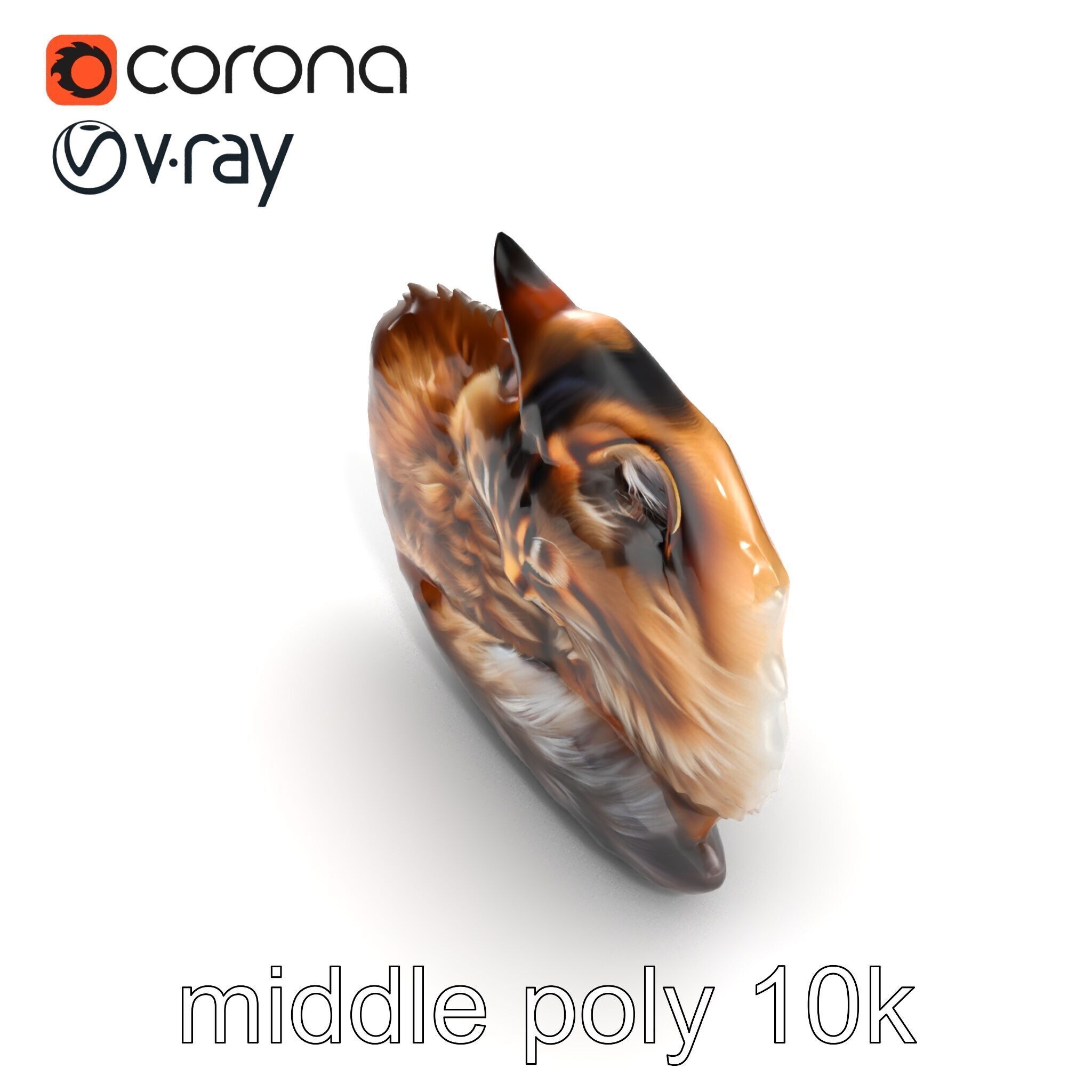 Fluffy Cat D Model Pack with Realistic Fur Detail Low-poly 3D model_13