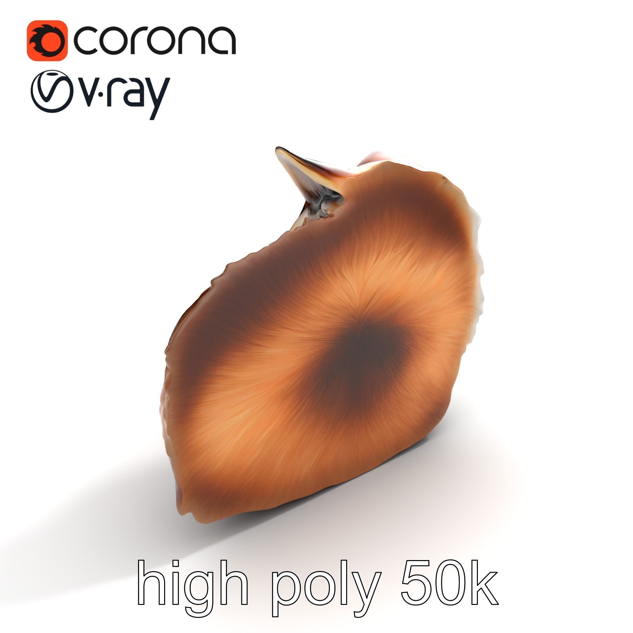 Fluffy Cat D Model Pack with Realistic Fur Detail Low-poly 3D model_20