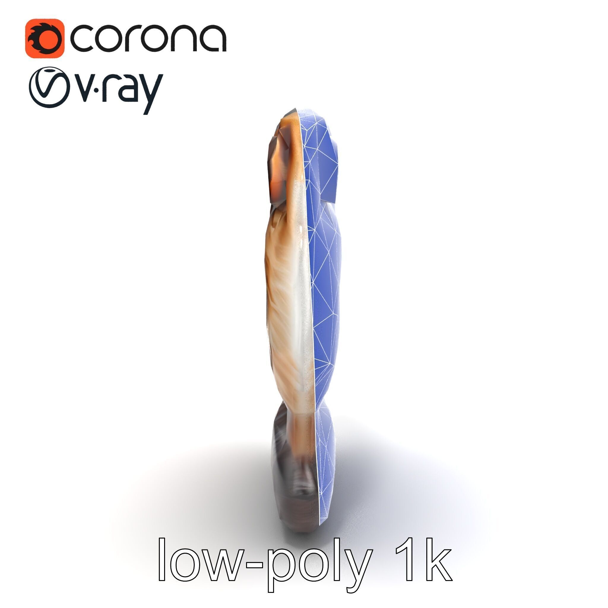 Fluffy Cat D Model Pack with Realistic Fur Detail Low-poly 3D model_24