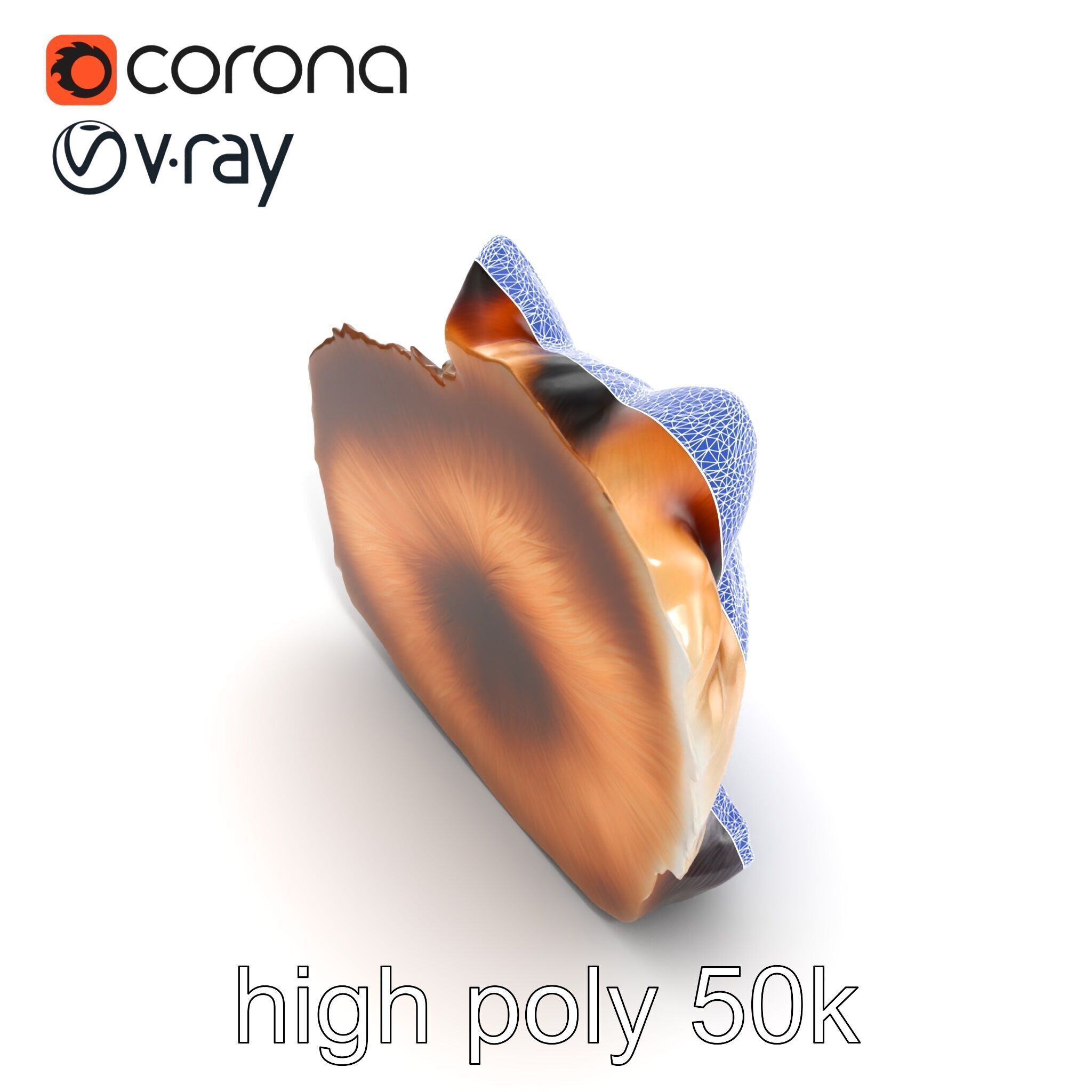 Fluffy Cat D Model Pack with Realistic Fur Detail Low-poly 3D model_21