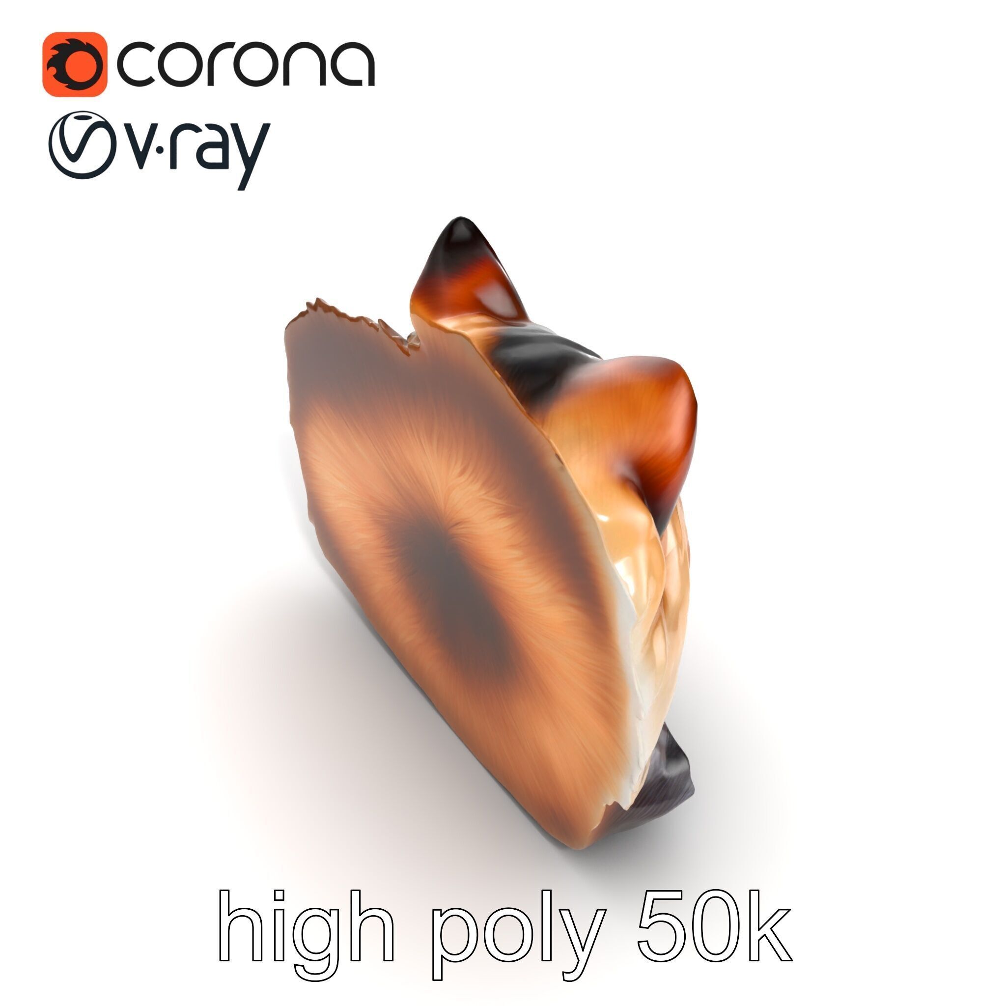 Fluffy Cat D Model Pack with Realistic Fur Detail Low-poly 3D model_22