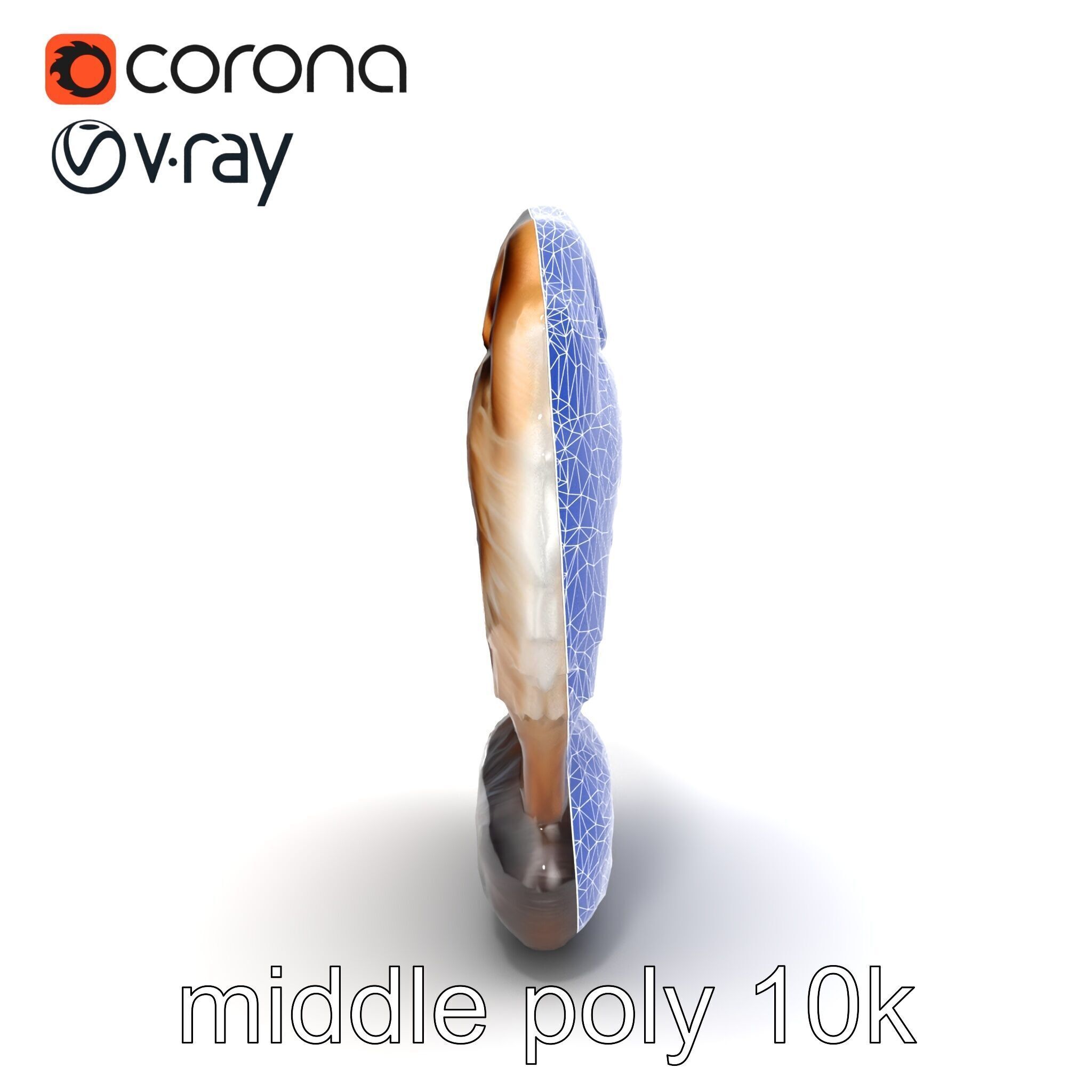 Fluffy Cat D Model Pack with Realistic Fur Detail Low-poly 3D model_31