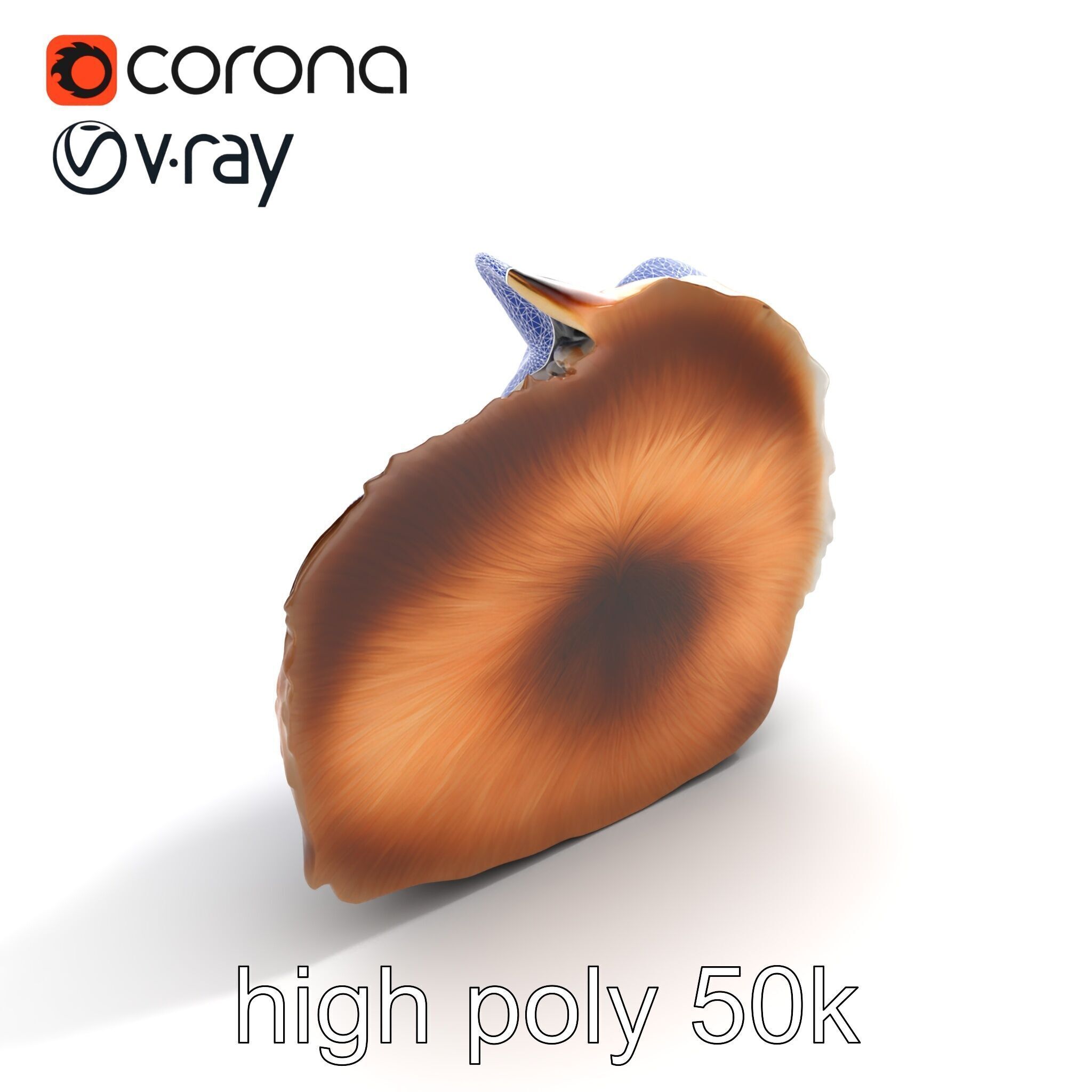 Fluffy Cat D Model Pack with Realistic Fur Detail Low-poly 3D model_12