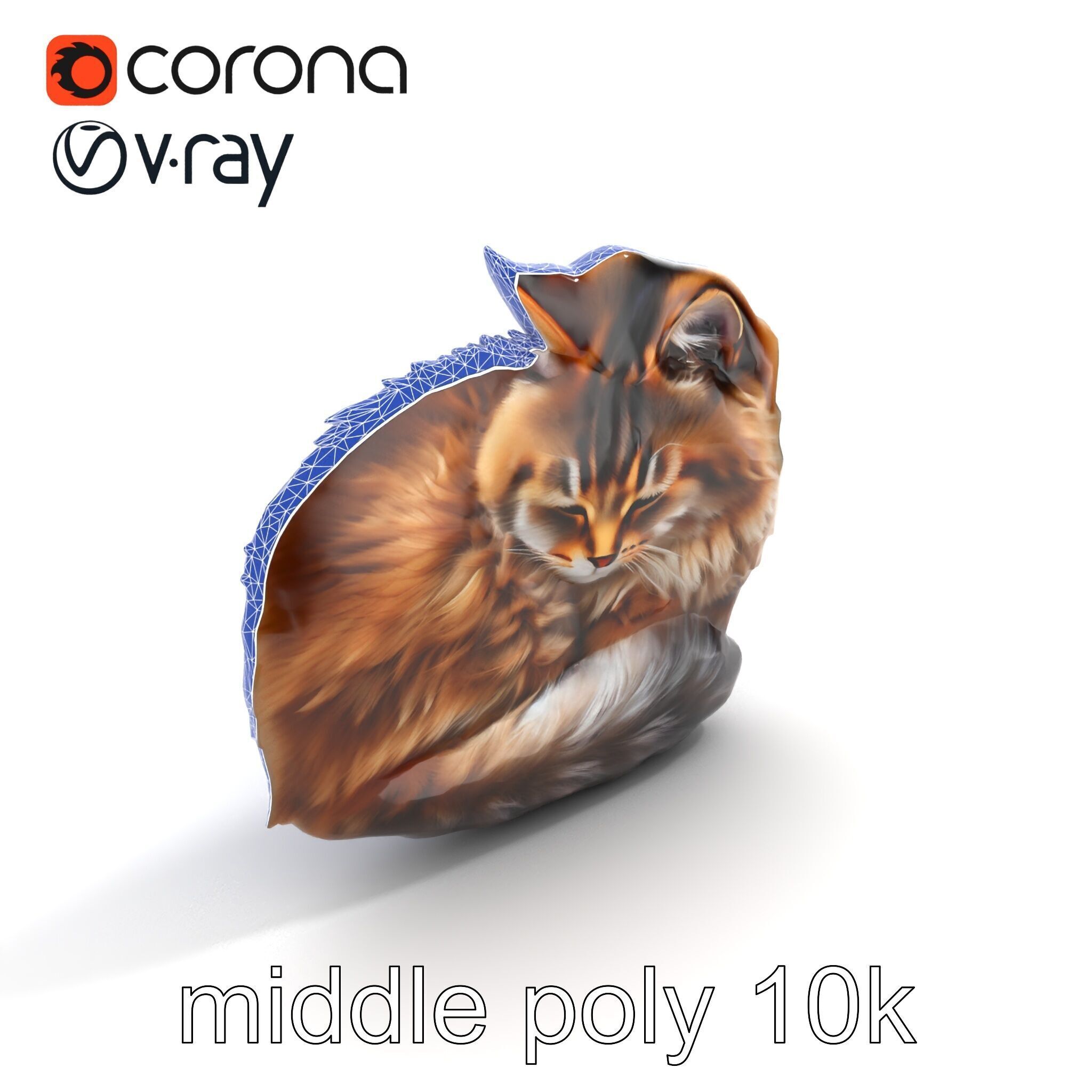 Fluffy Cat D Model Pack with Realistic Fur Detail Low-poly 3D model_15
