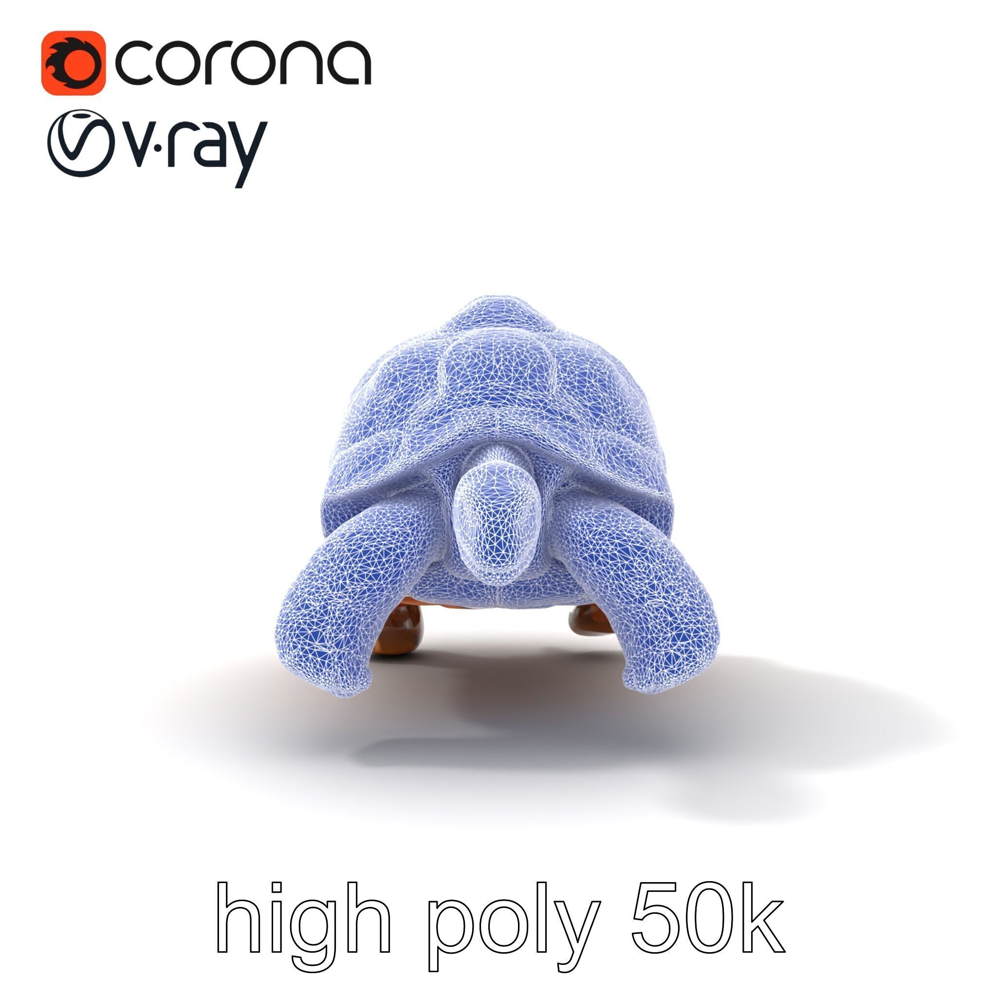Galapagos Tortoise Realistic Texture model pack Low-poly 3D model_16