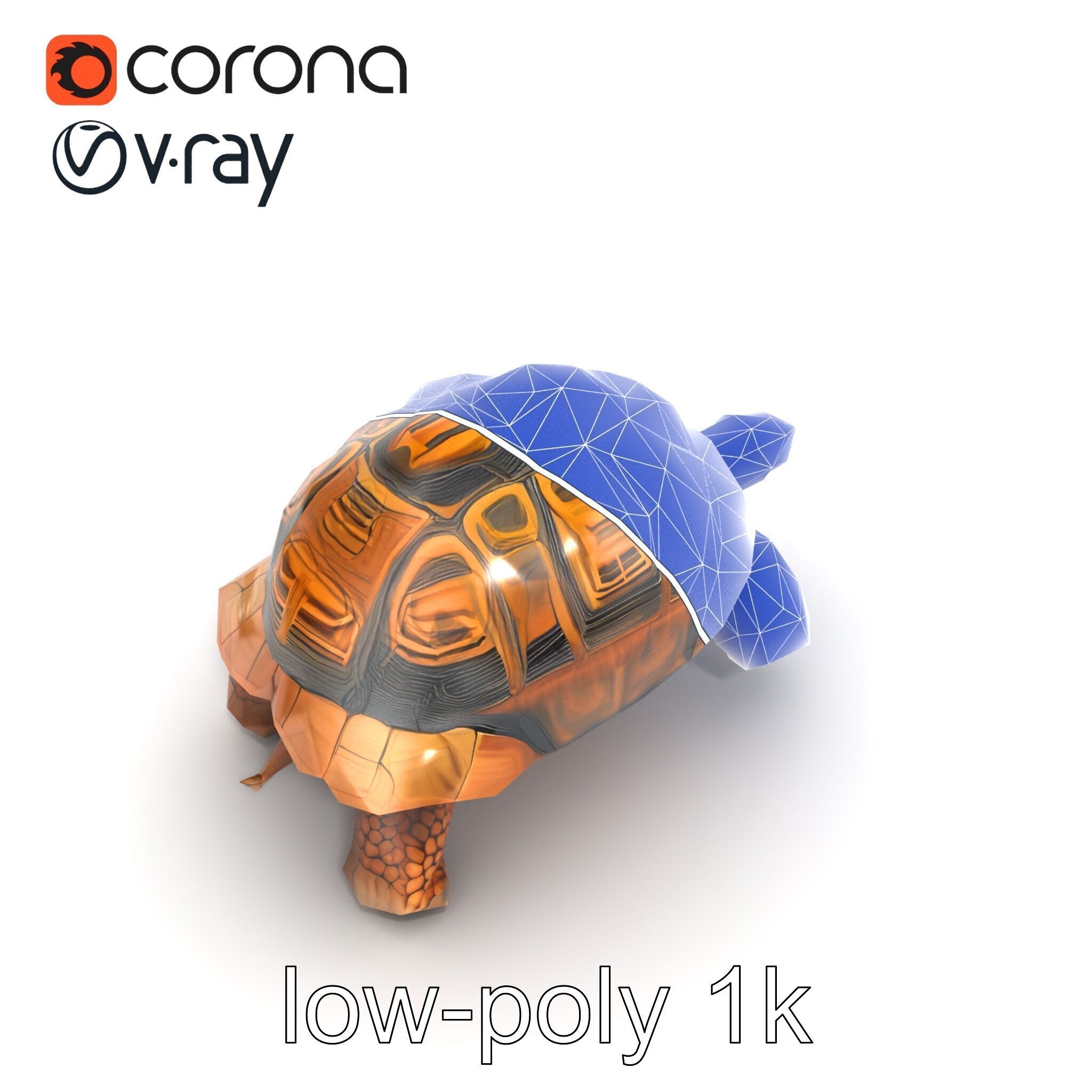 Galapagos Tortoise Realistic Texture model pack Low-poly 3D model_18