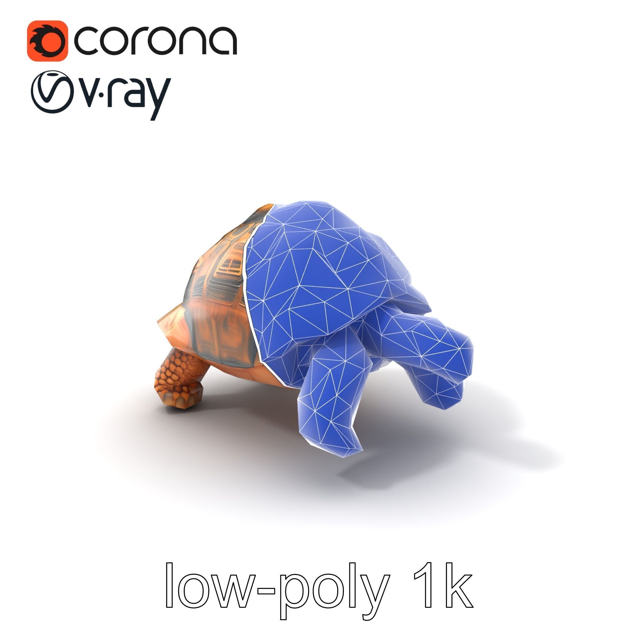 Galapagos Tortoise Realistic Texture model pack Low-poly 3D model_7