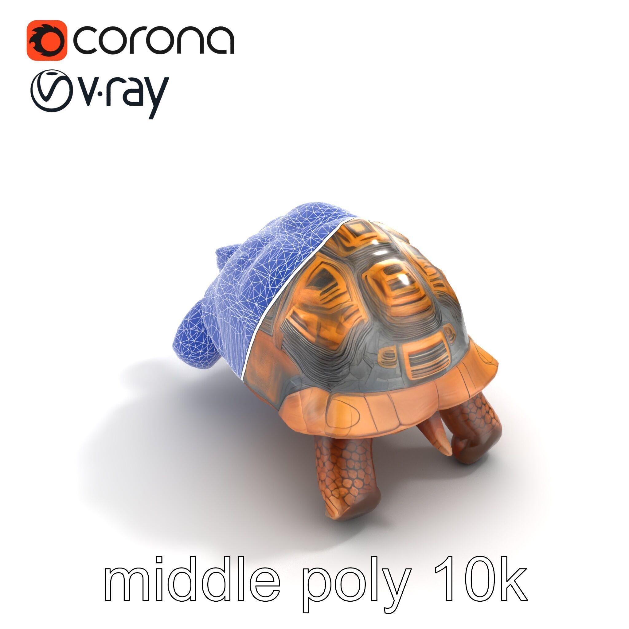 Galapagos Tortoise Realistic Texture model pack Low-poly 3D model_11