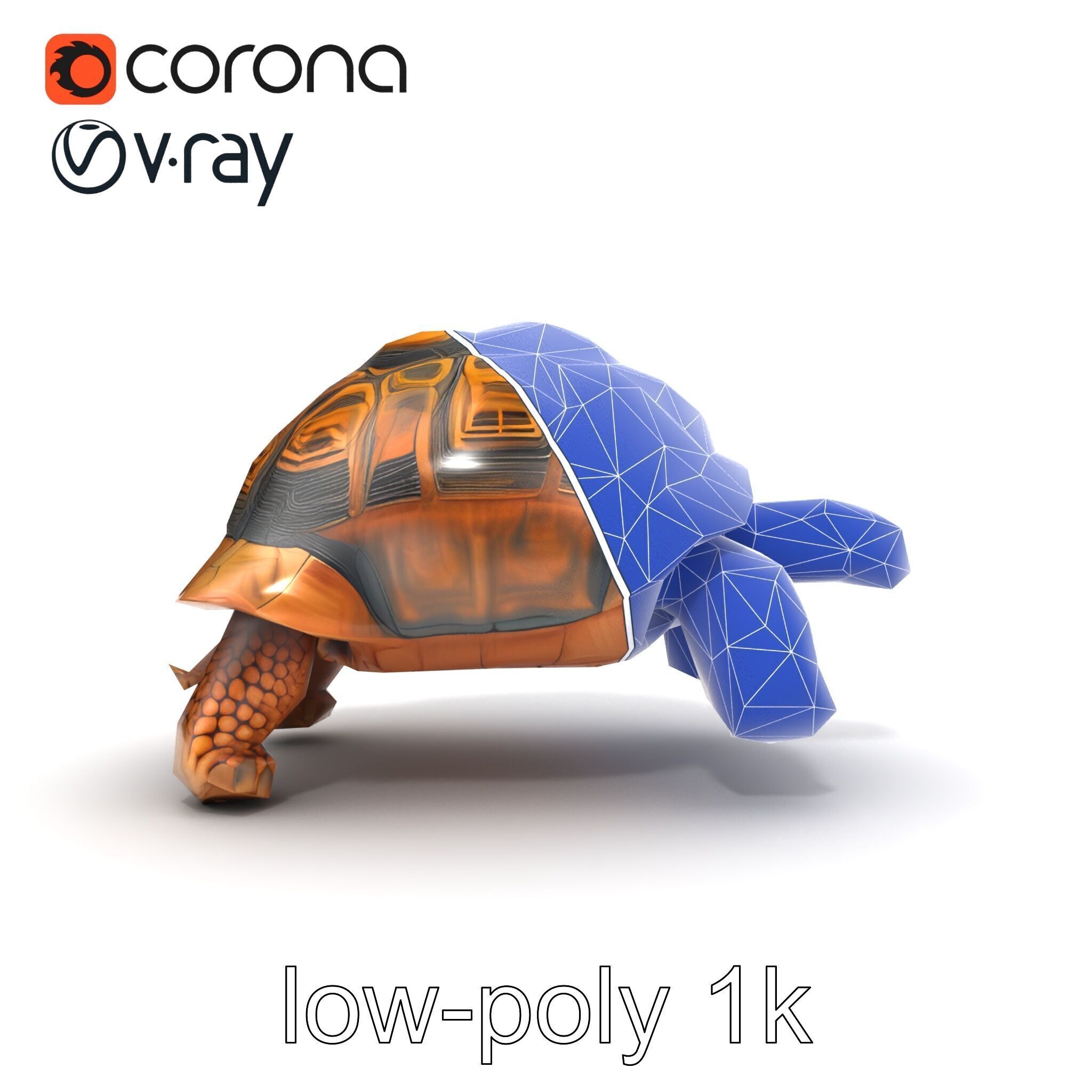 Galapagos Tortoise Realistic Texture model pack Low-poly 3D model_17