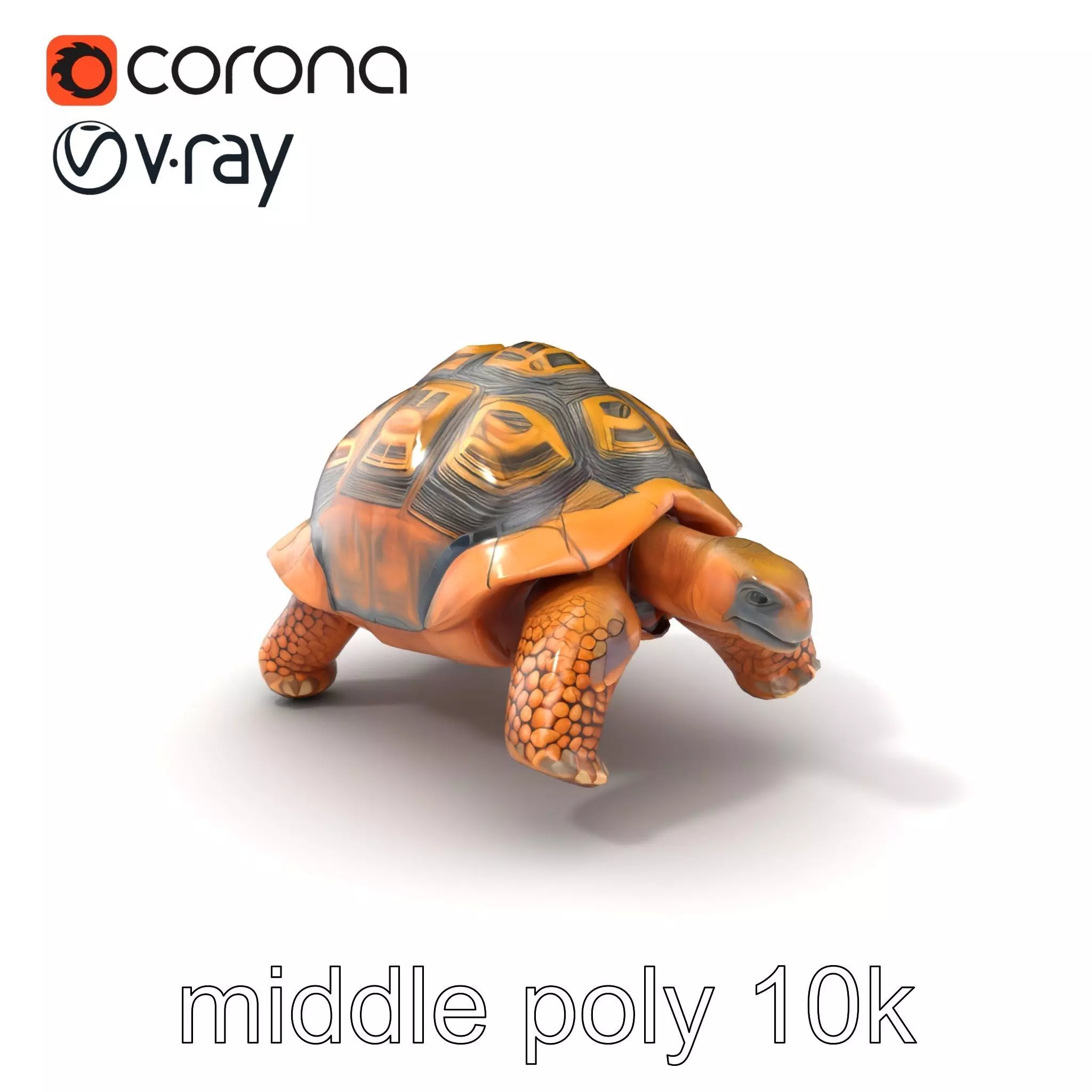 Galapagos Tortoise Realistic Texture model pack Low-poly 3D model_0