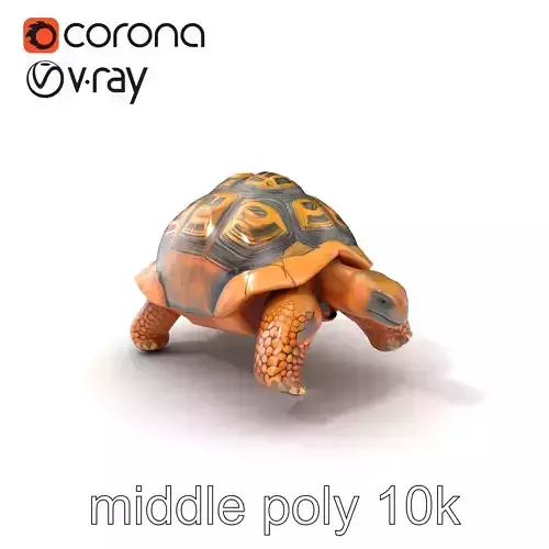 Galapagos Tortoise Realistic Texture model pack Low-poly 3D model